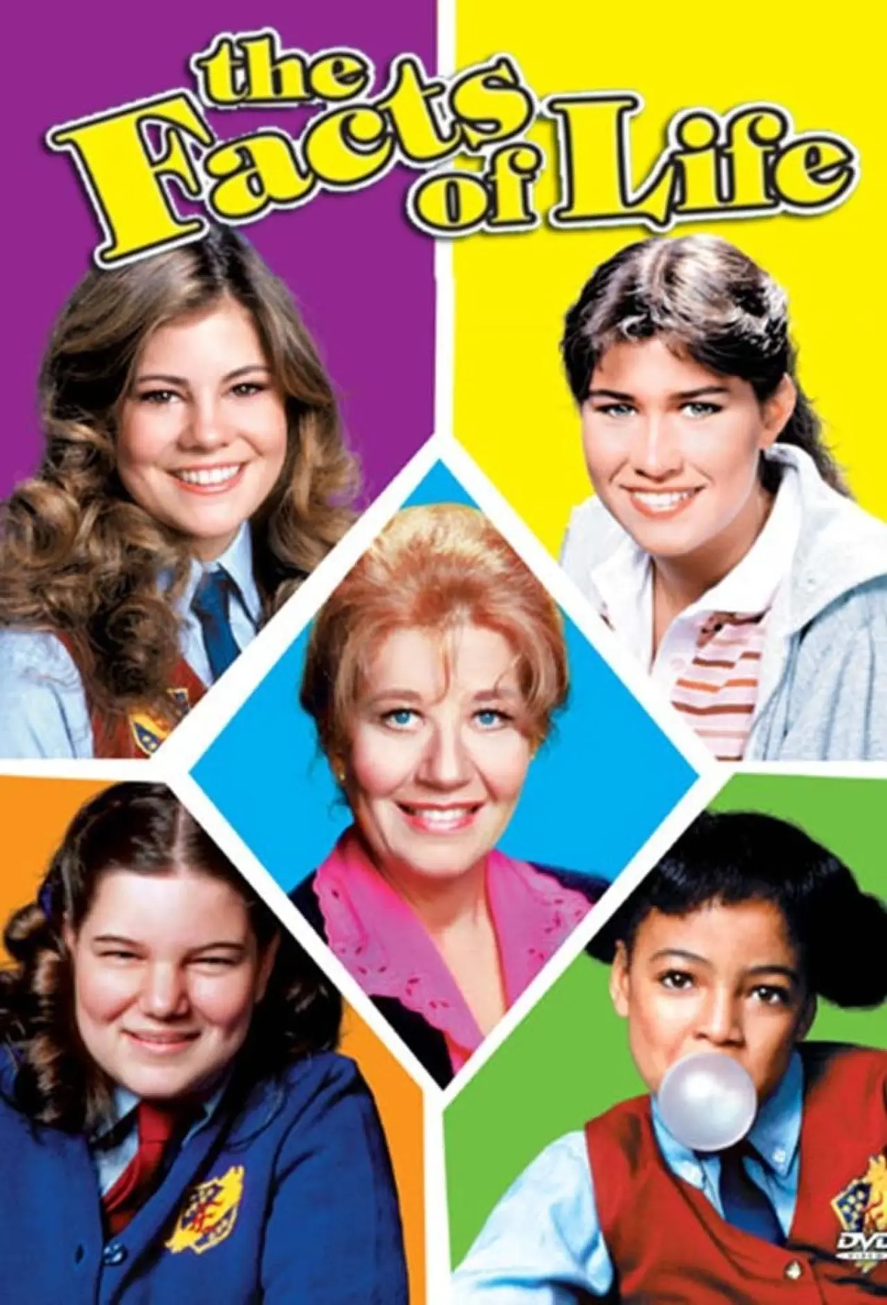 Series poster "The Facts of Life"