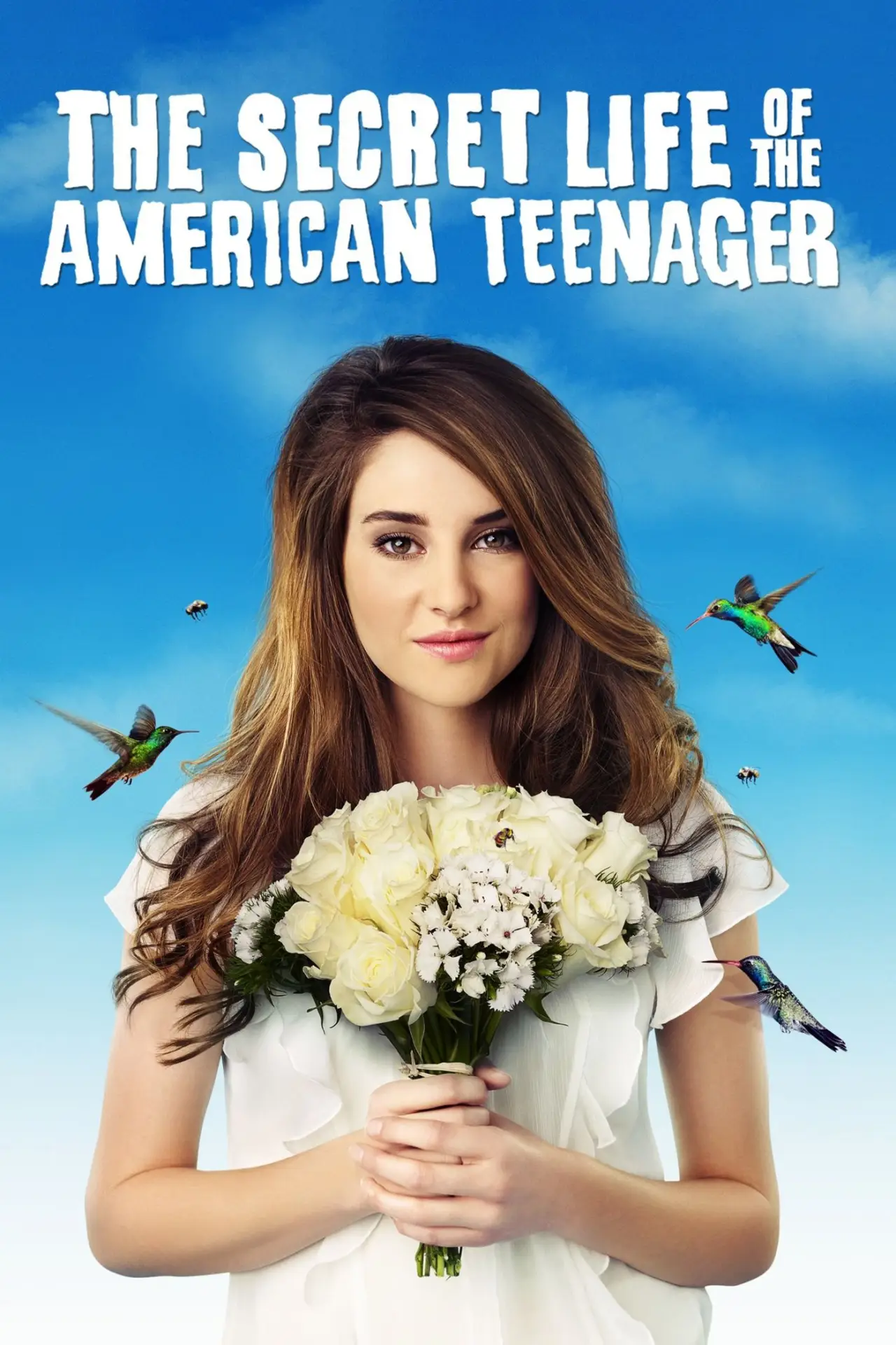 Series poster "The Secret Life of the American Teenager"