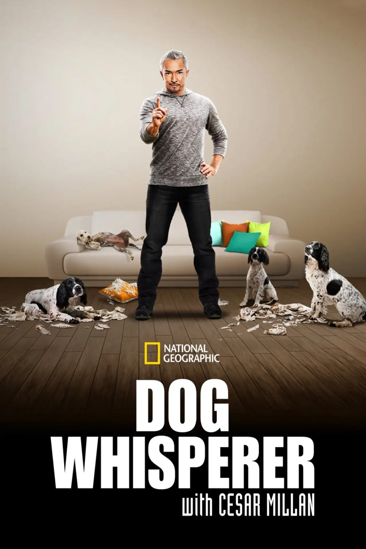 Series poster "Dog Whisperer"