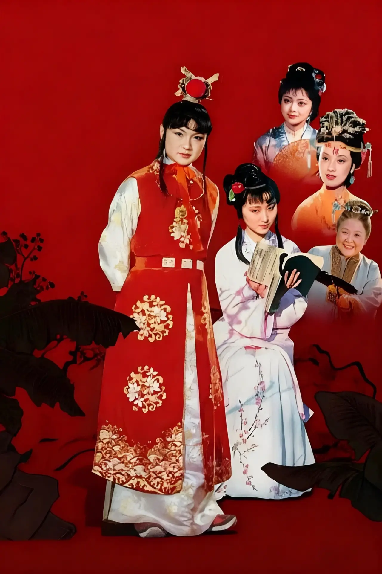 Постер к сериалу "Dream in Red Mansions"