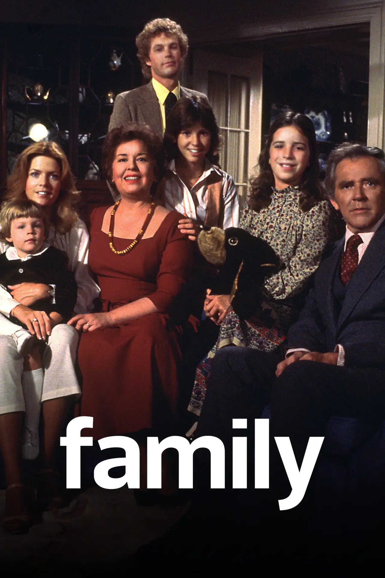 Series poster "Family"