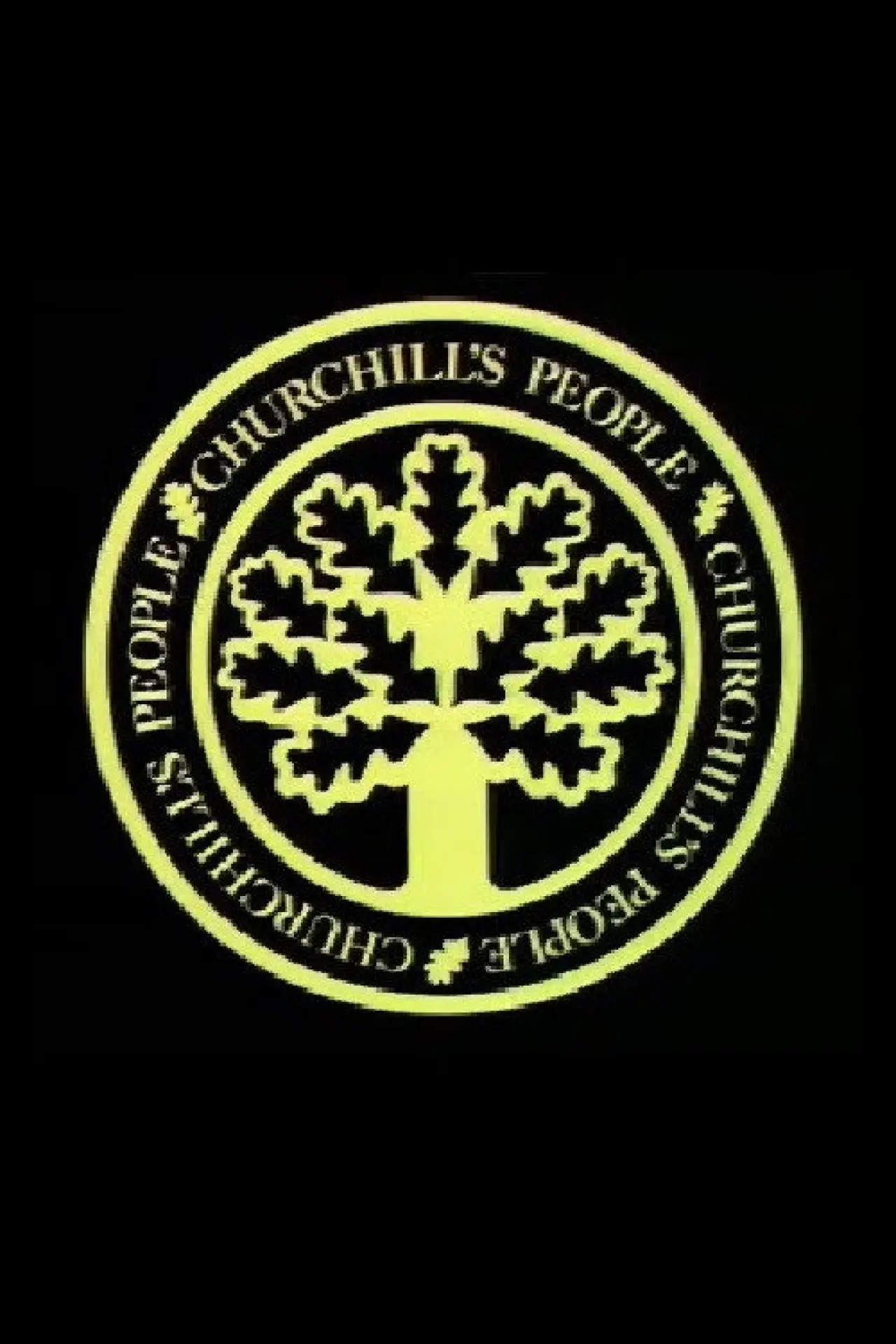 Series poster "Churchill