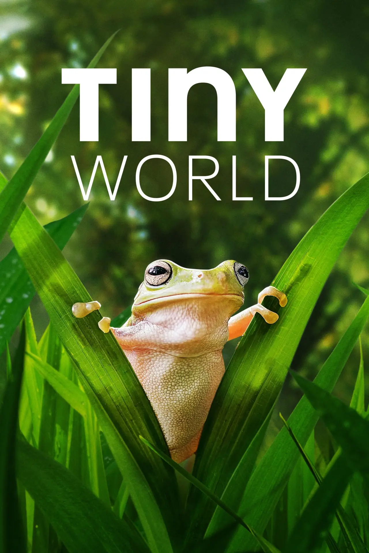 Постер к сериалу "Tiny World"