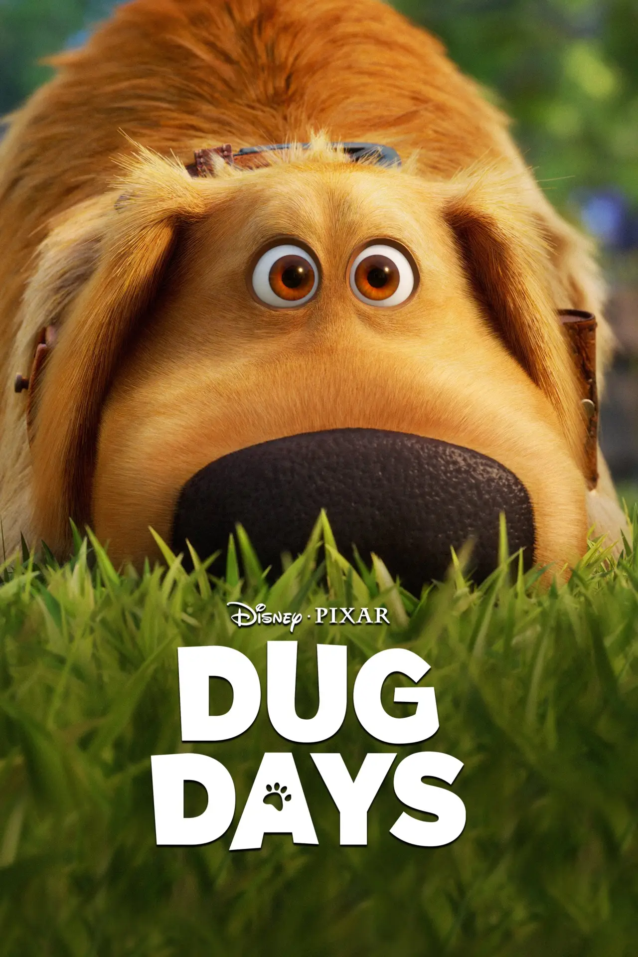 Series poster "Dug Days"