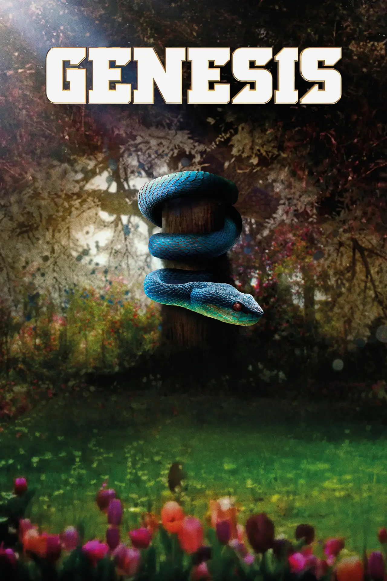 Постер к сериалу "Genesis"