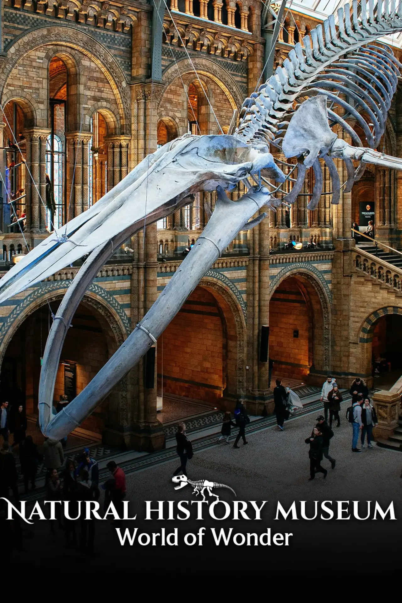 Series poster "Natural History Museum: World of Wonder"