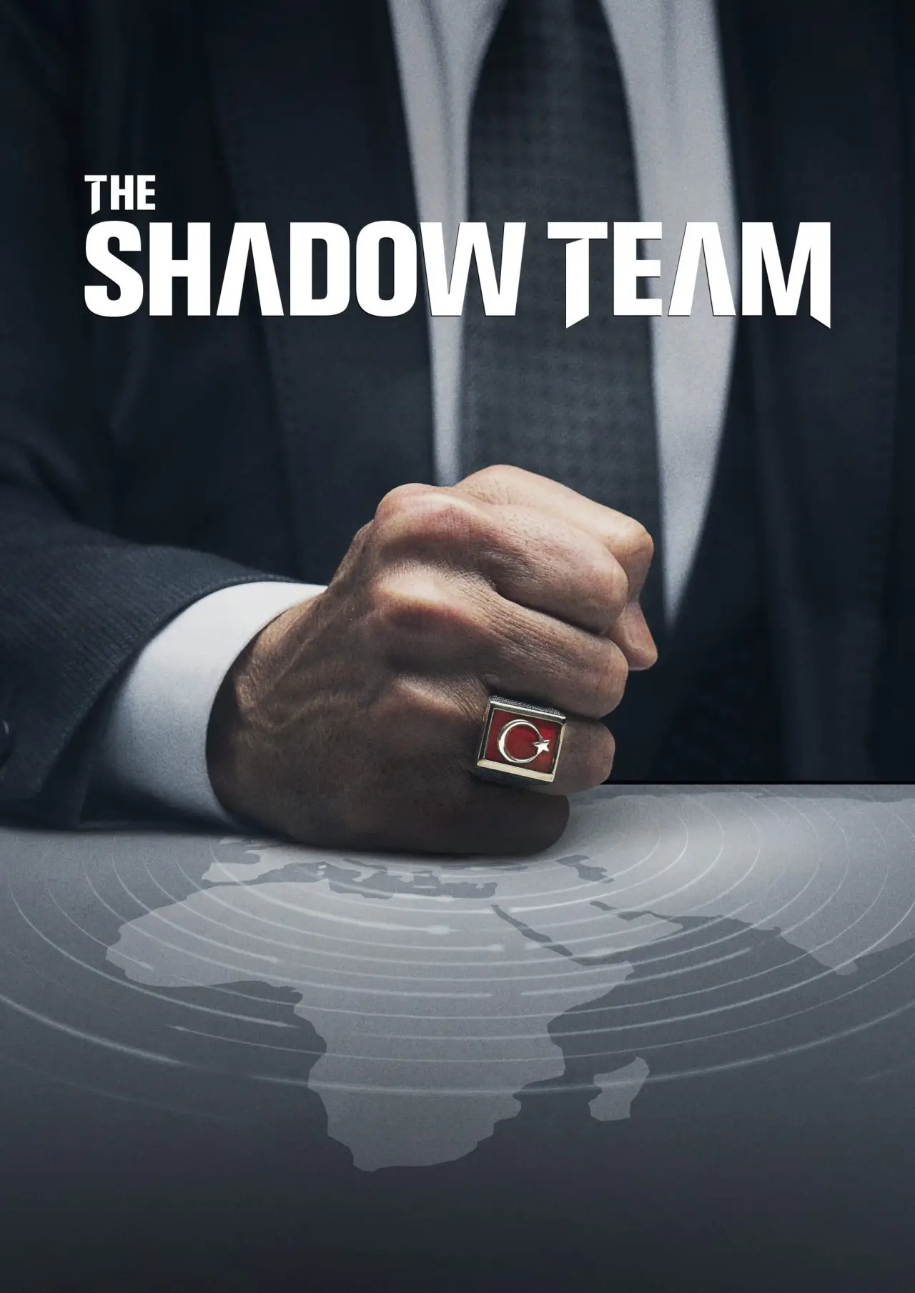 Series poster "The Shadow Team"