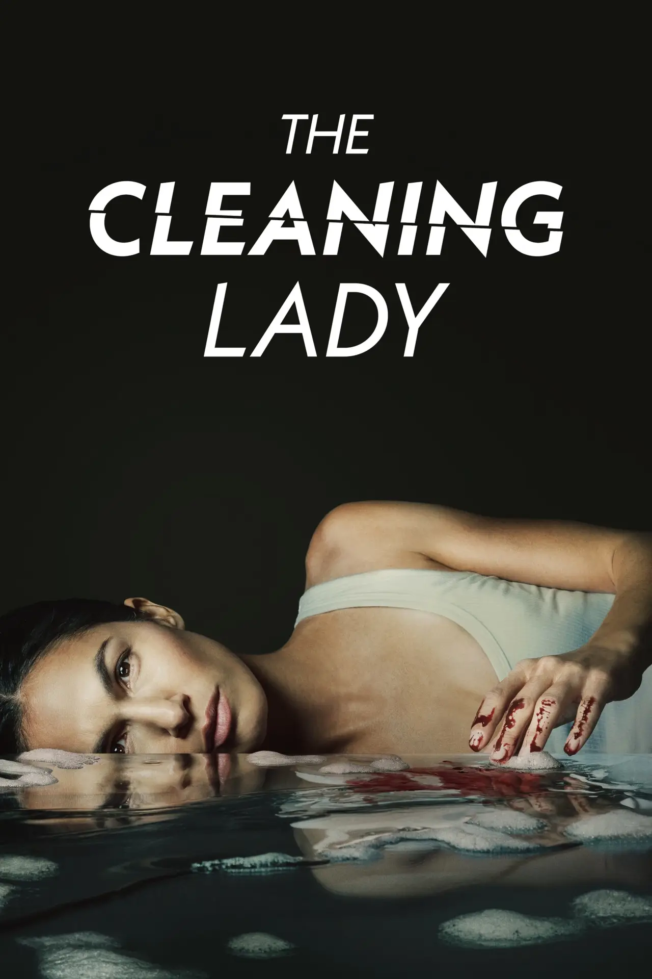 Series poster "The Cleaning Lady"