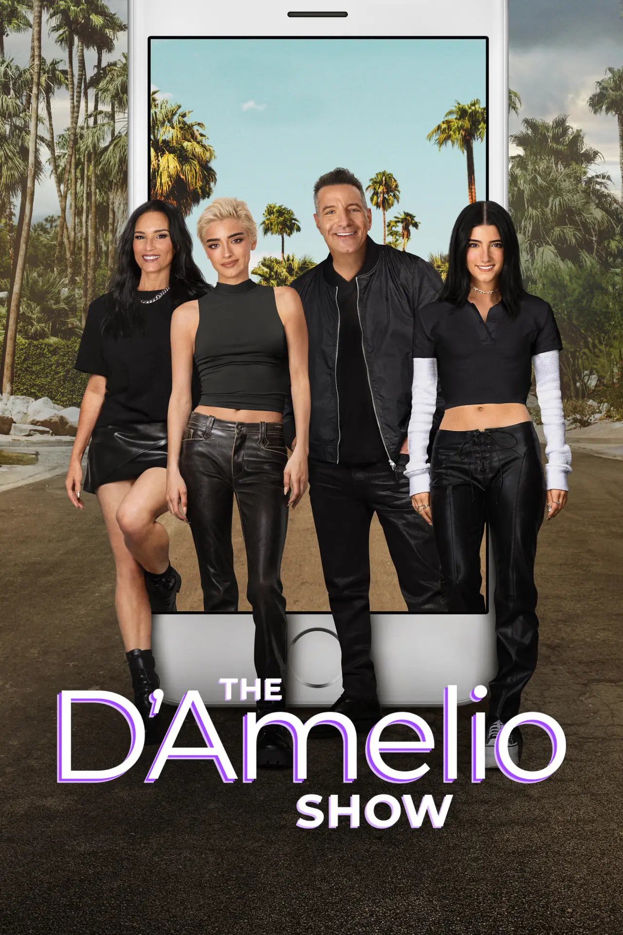 Постер к сериалу "The D