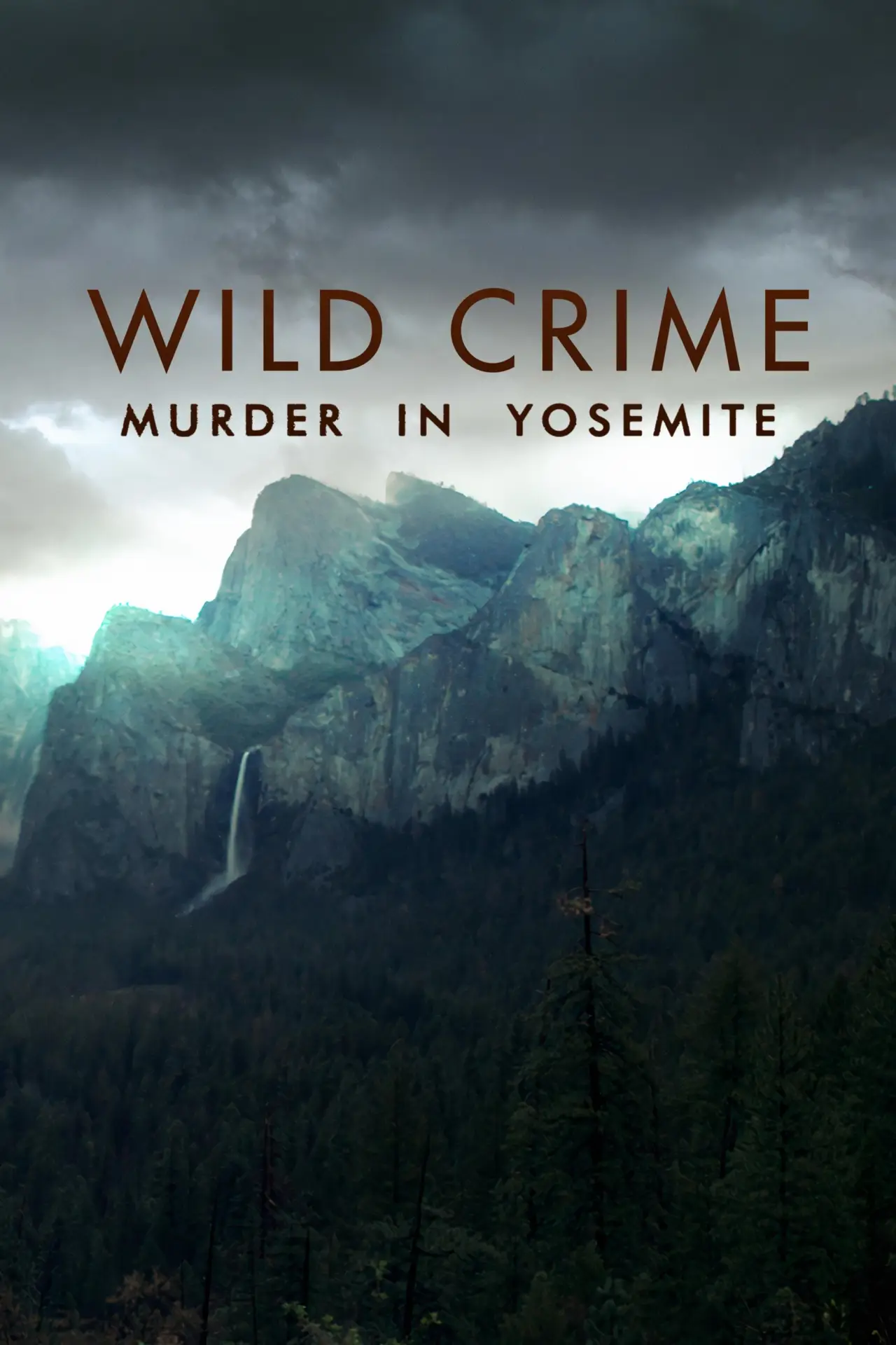 Series poster "Wild Crime"