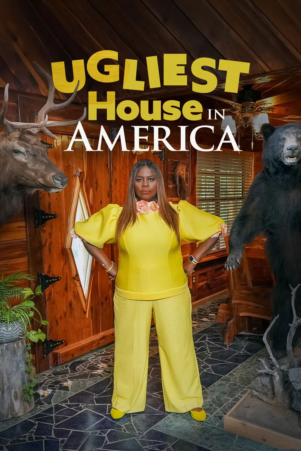 Series poster "Ugliest House in America"