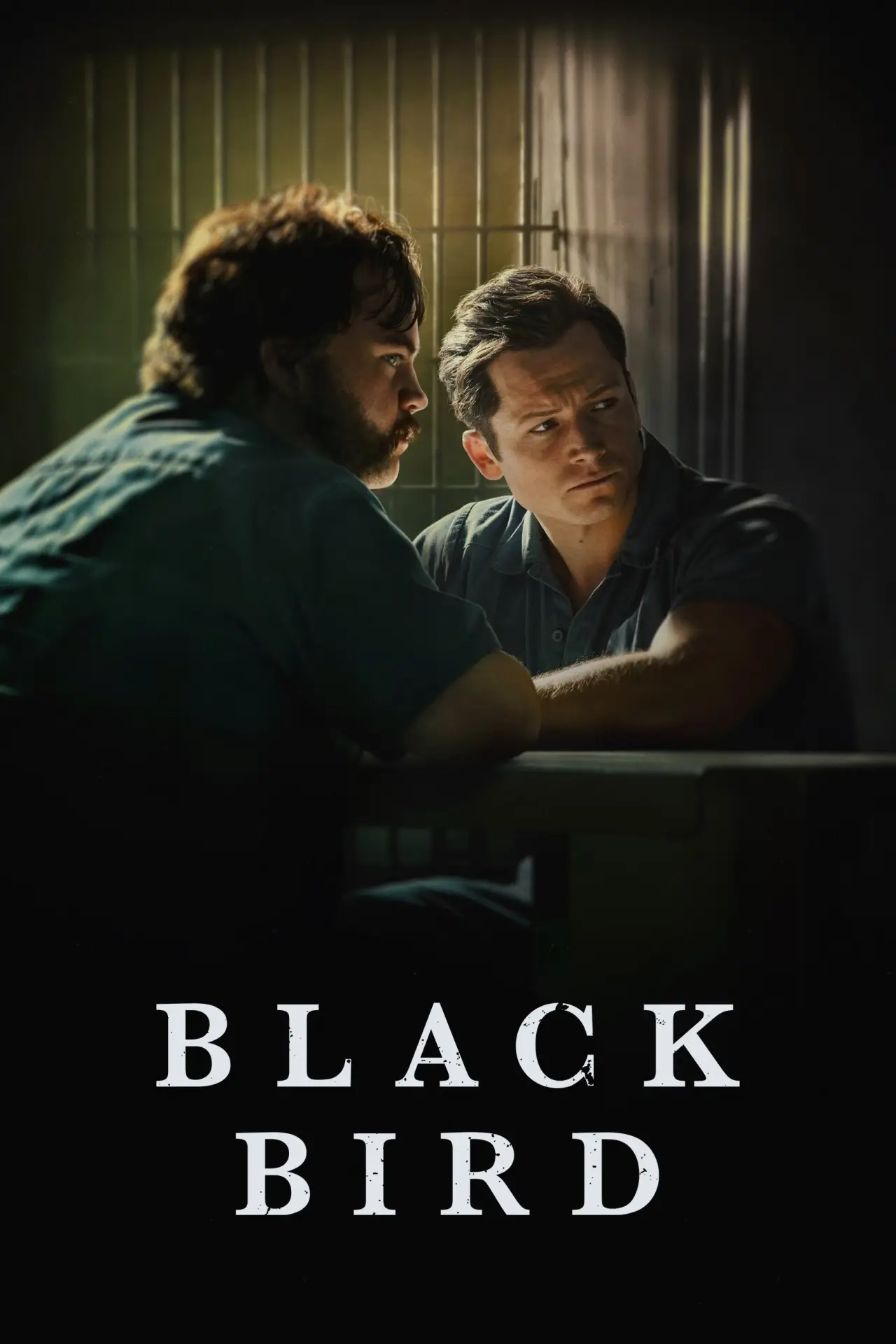 Series poster "Black Bird"