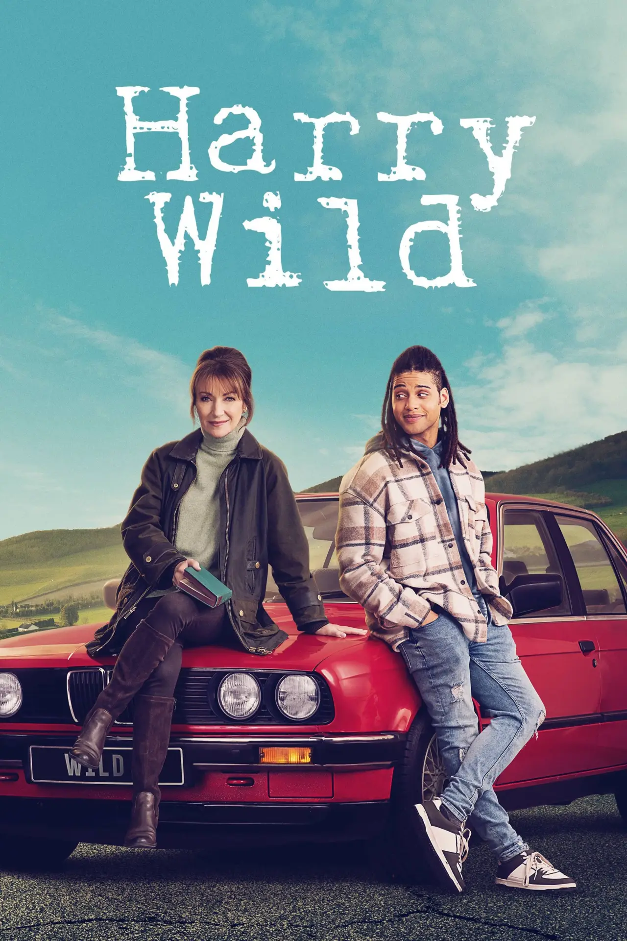 Series poster "Harry Wild"
