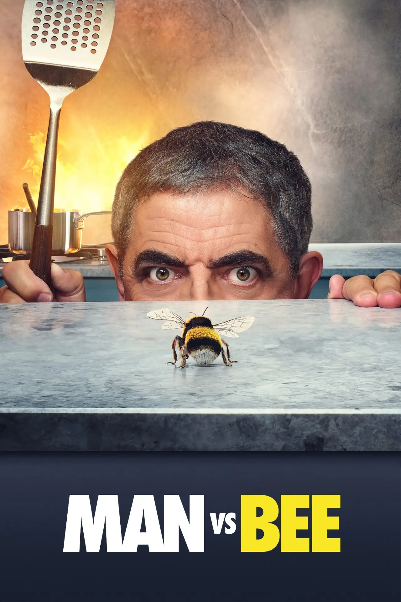 Series poster "Man vs Bee"