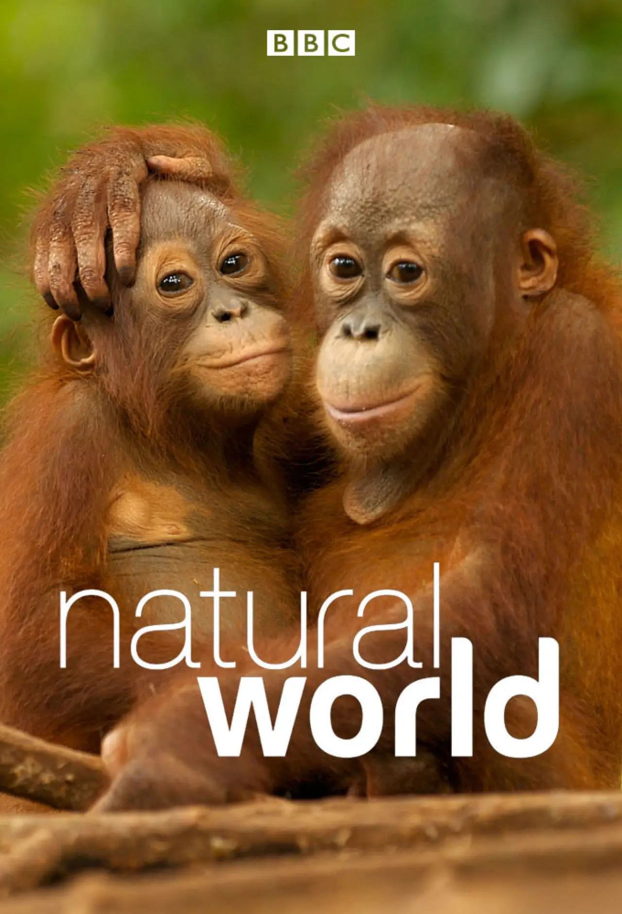 Series poster "Natural World"