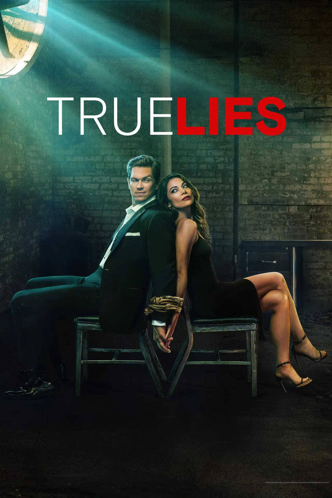 Series poster "True Lies"