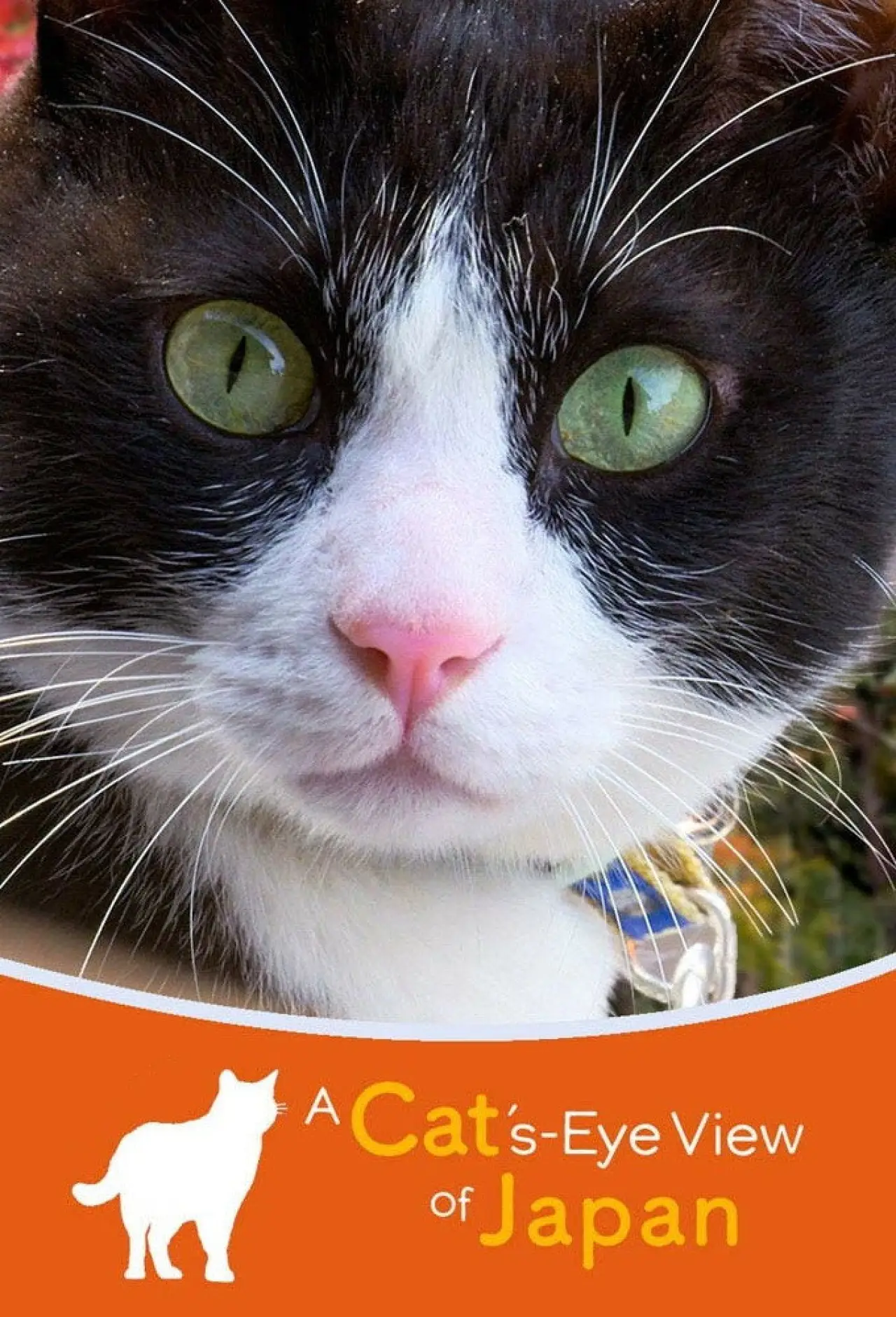 Series poster "A Cat