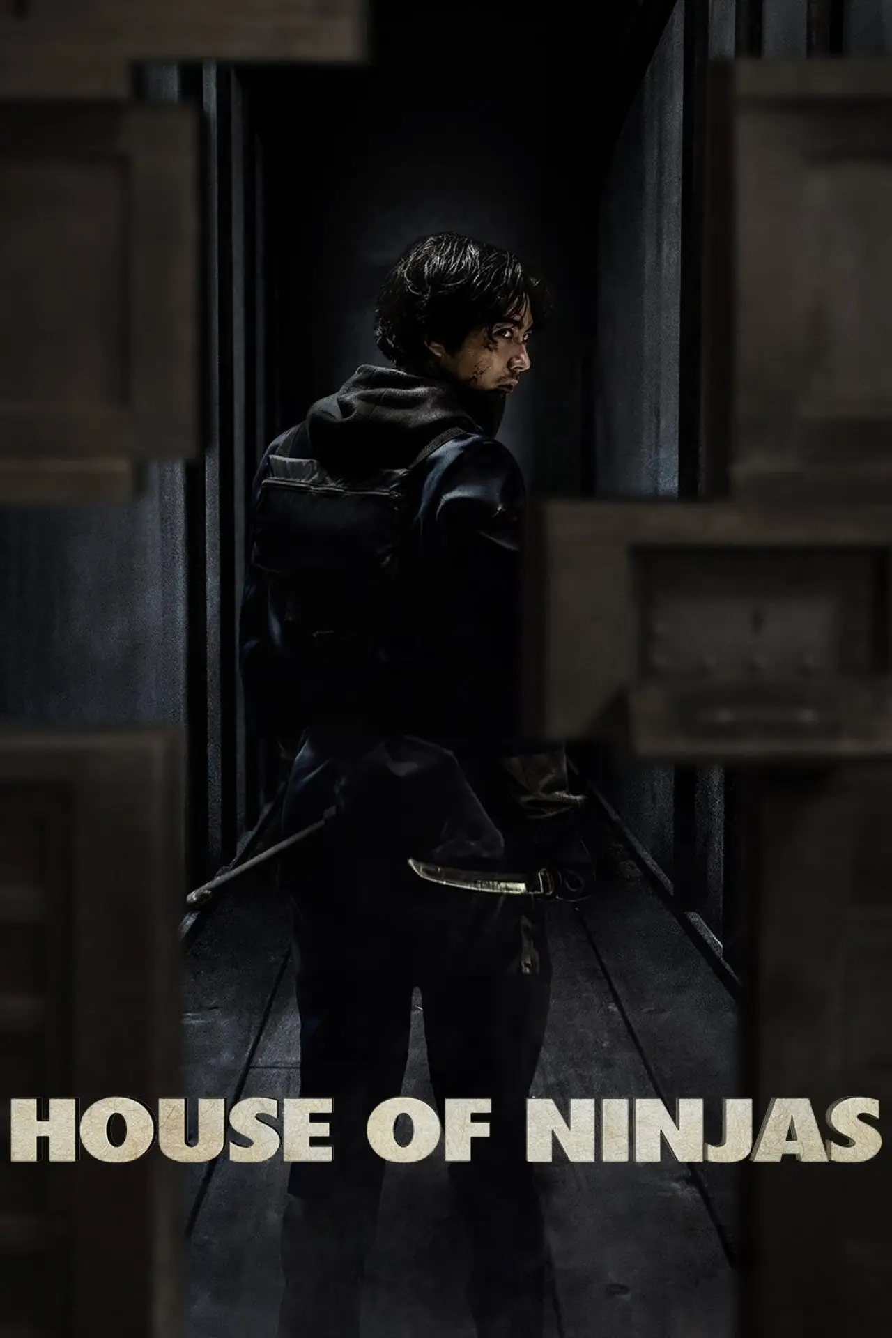 Series poster "House of Ninjas"