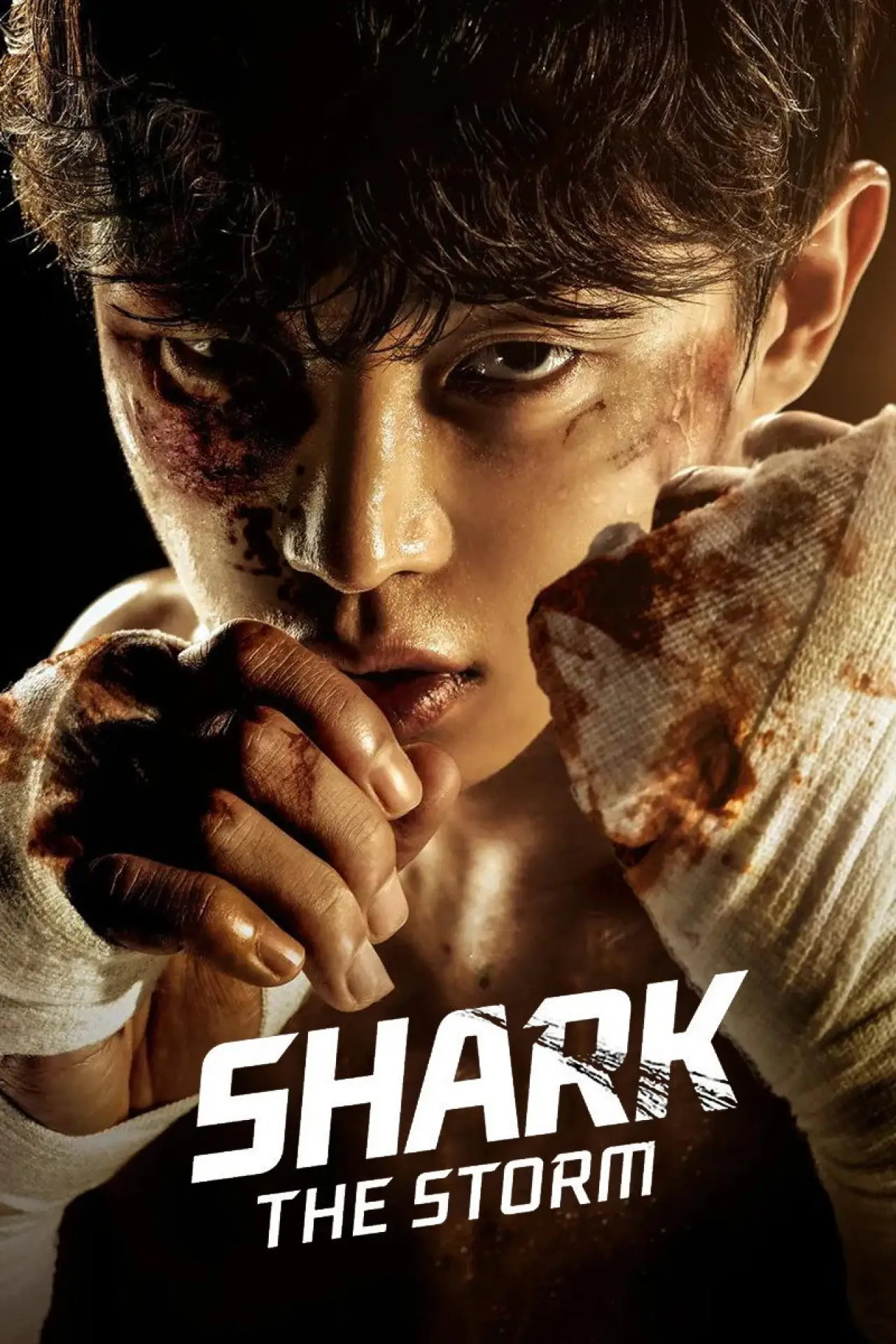 Series poster "Shark: The Storm"