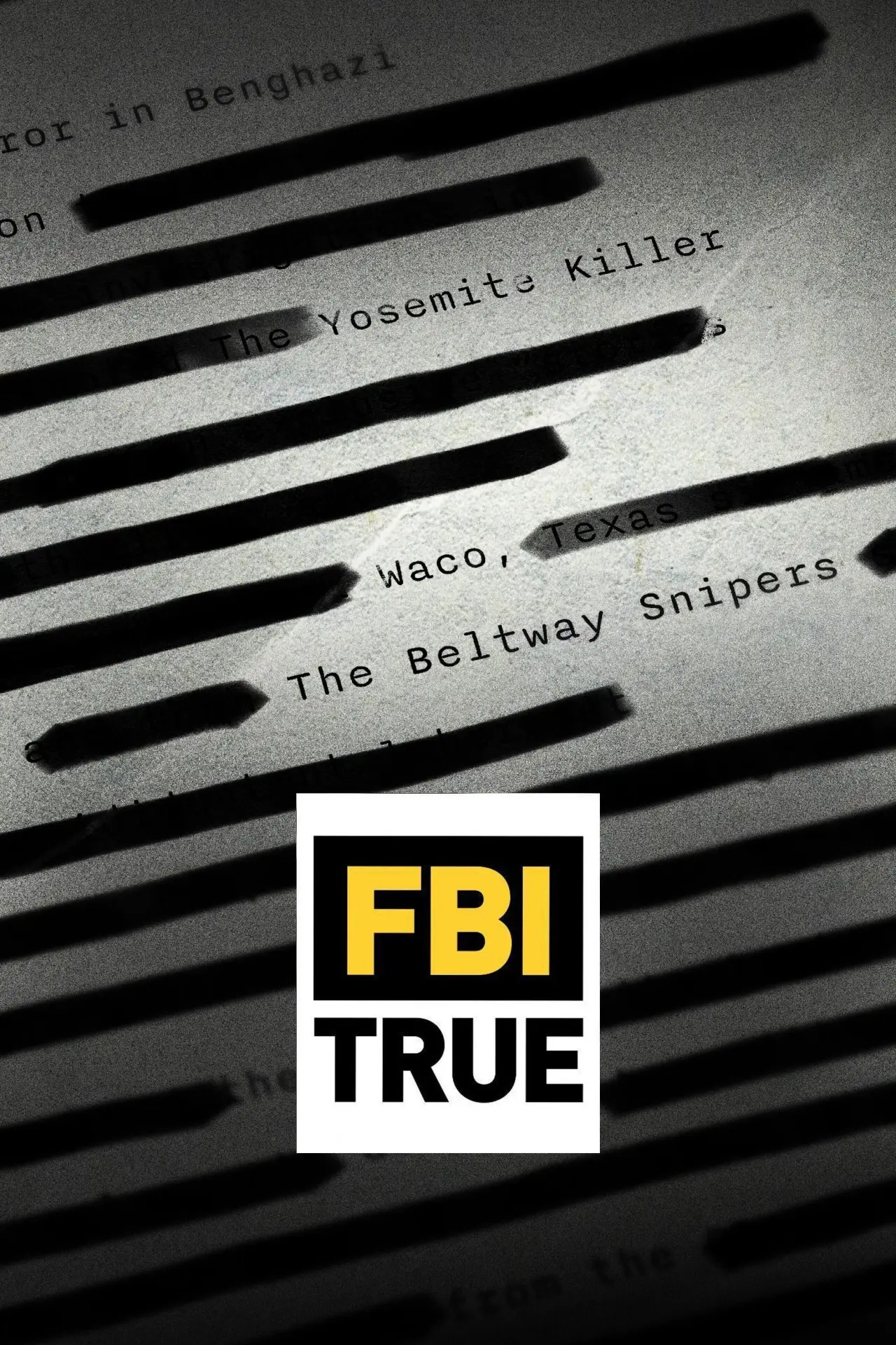 Series poster "FBI TRUE"