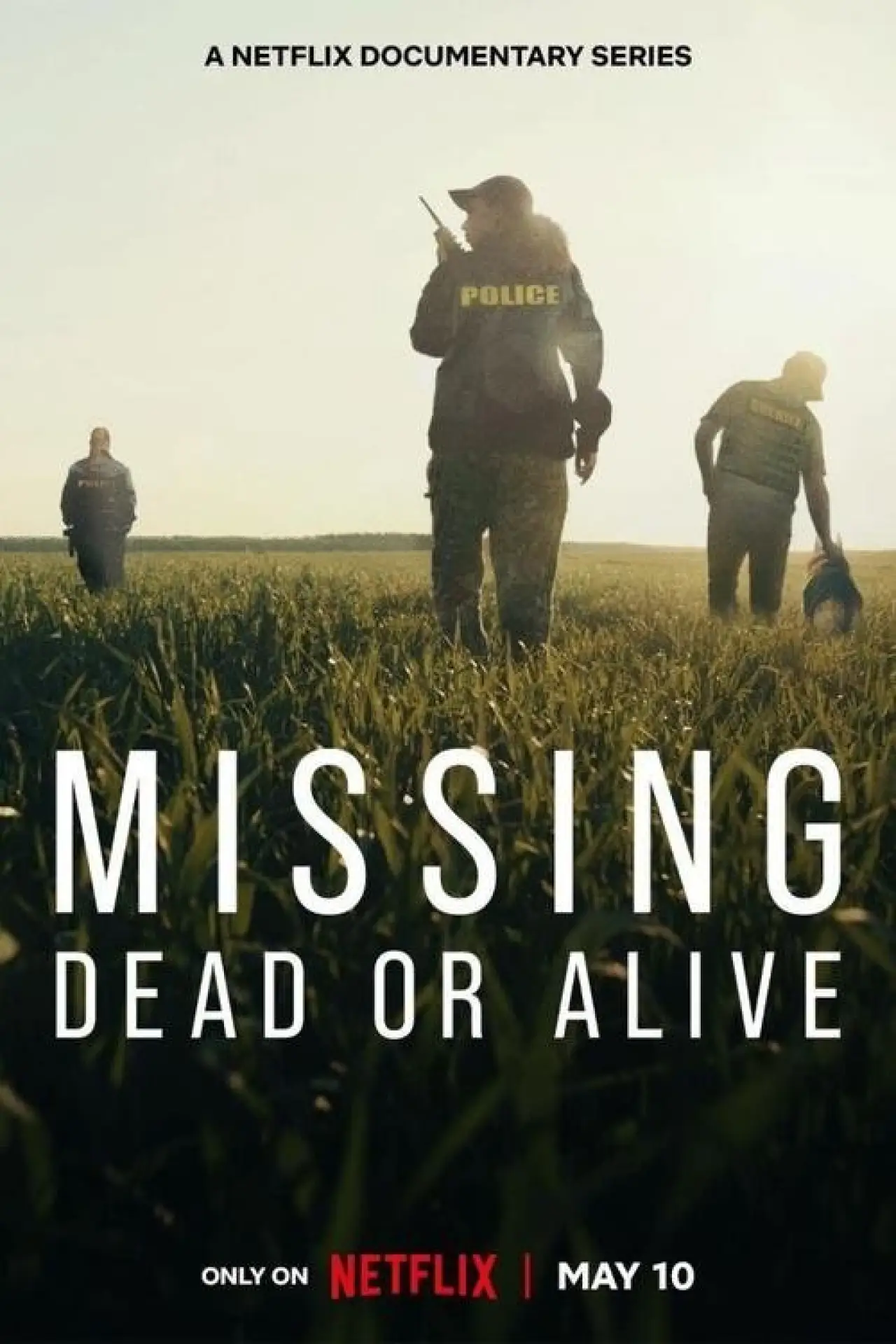 Series poster "Missing: Dead or Alive?"