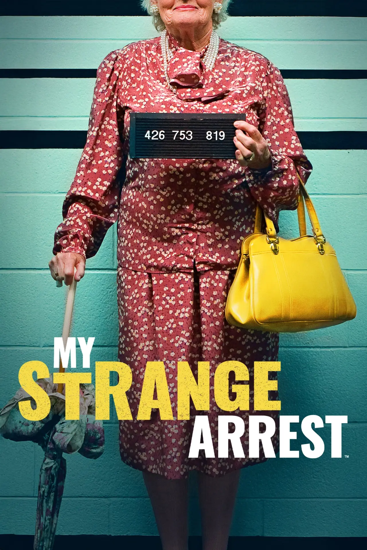 Series poster "My Strange Arrest"