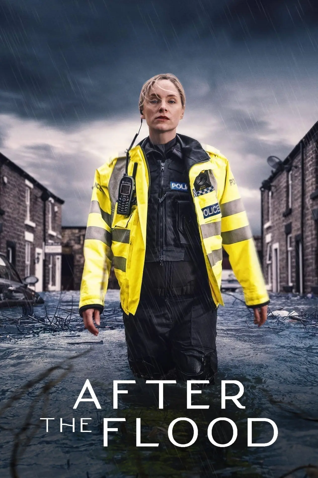 Series poster "After the Flood"