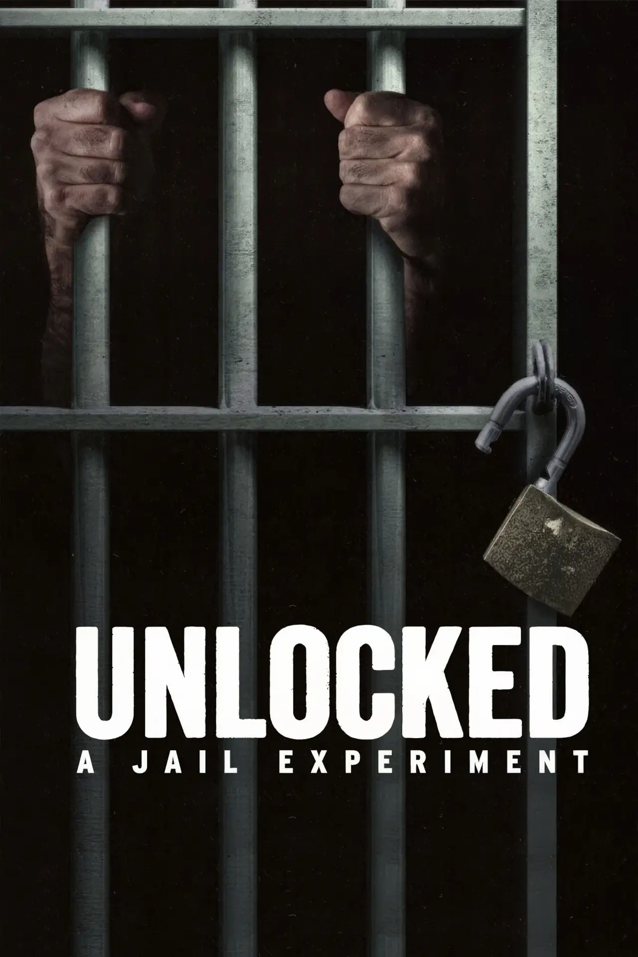 Series poster "Unlocked: A Jail Experiment"