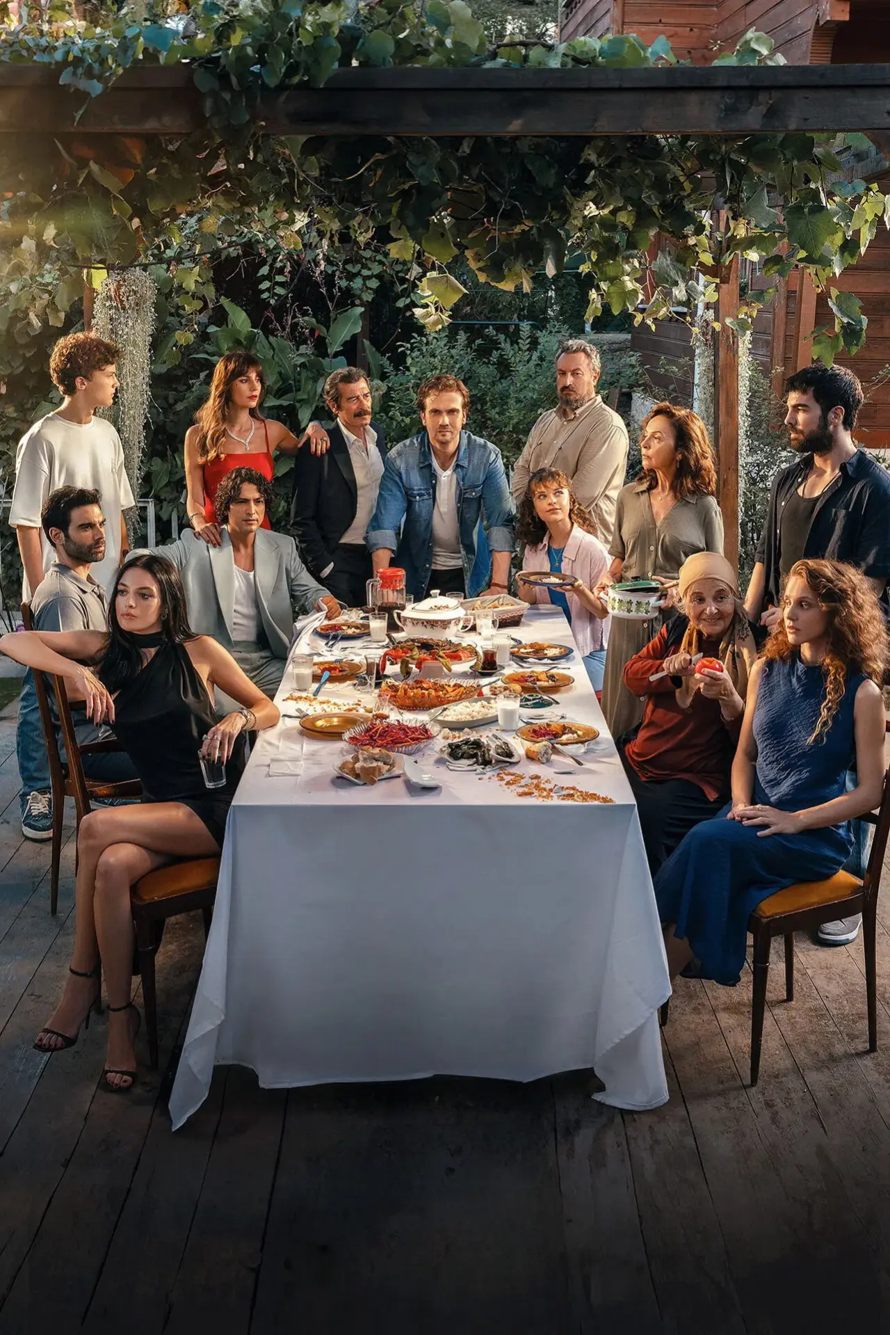 Series poster "Deha"