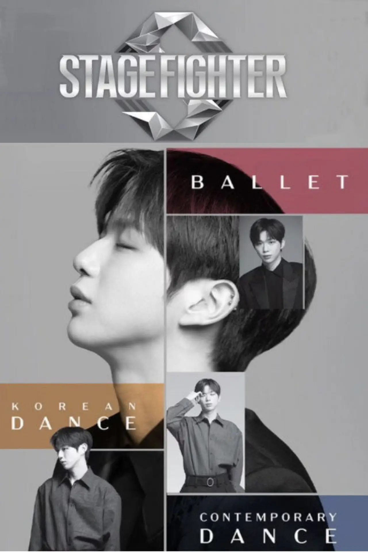 Series poster "Stage Fighter"