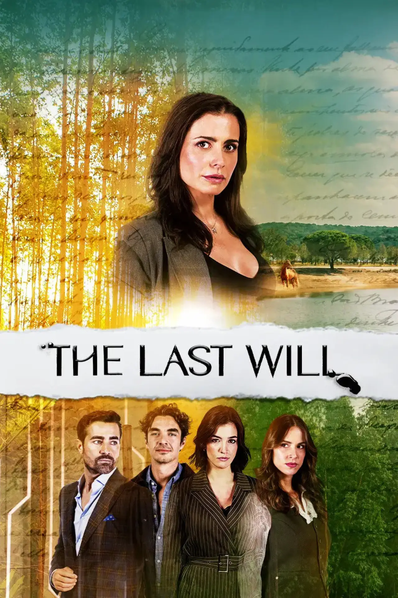 Series poster "The Last Will"