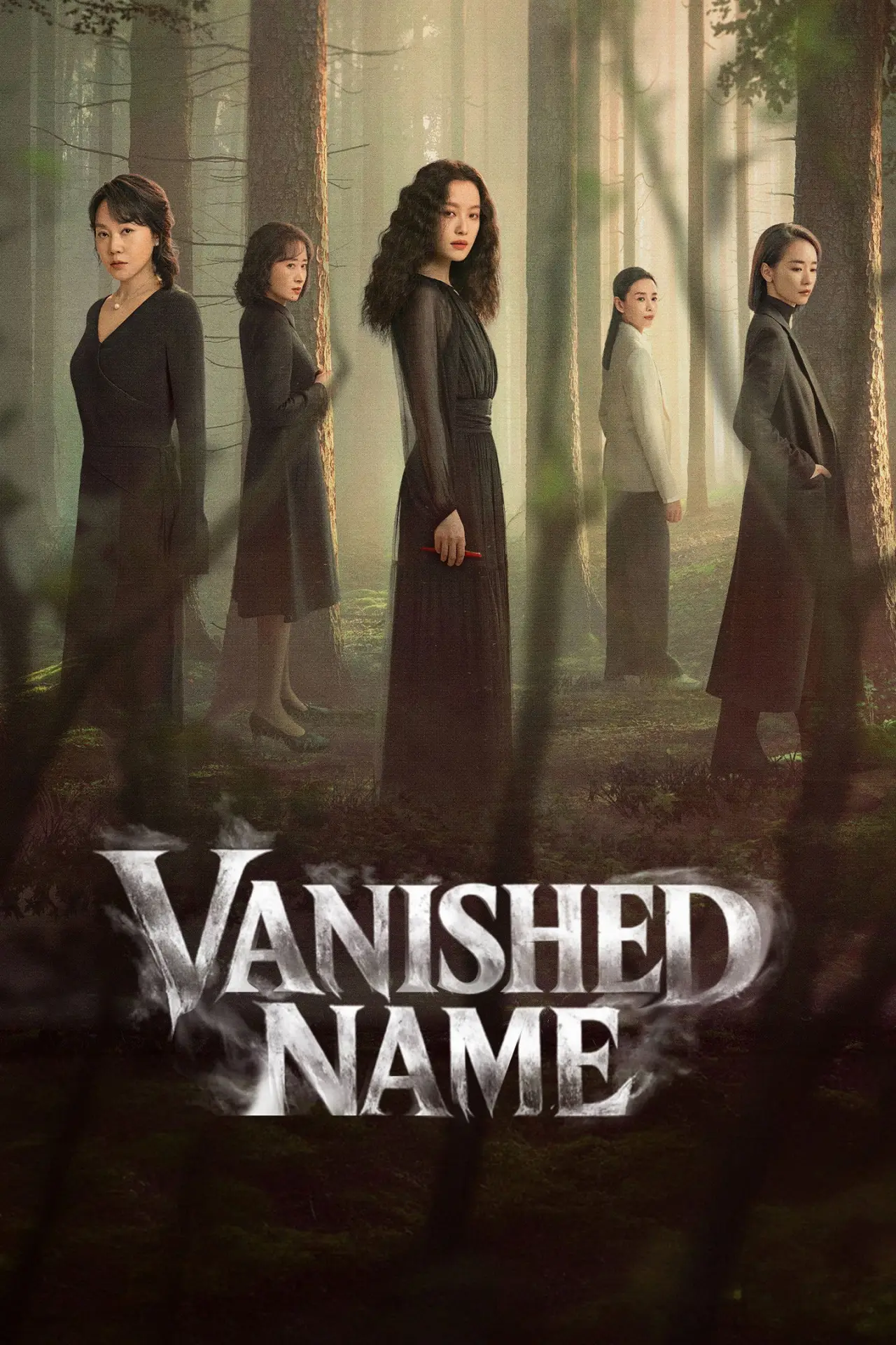 Series poster "Vanished Name"