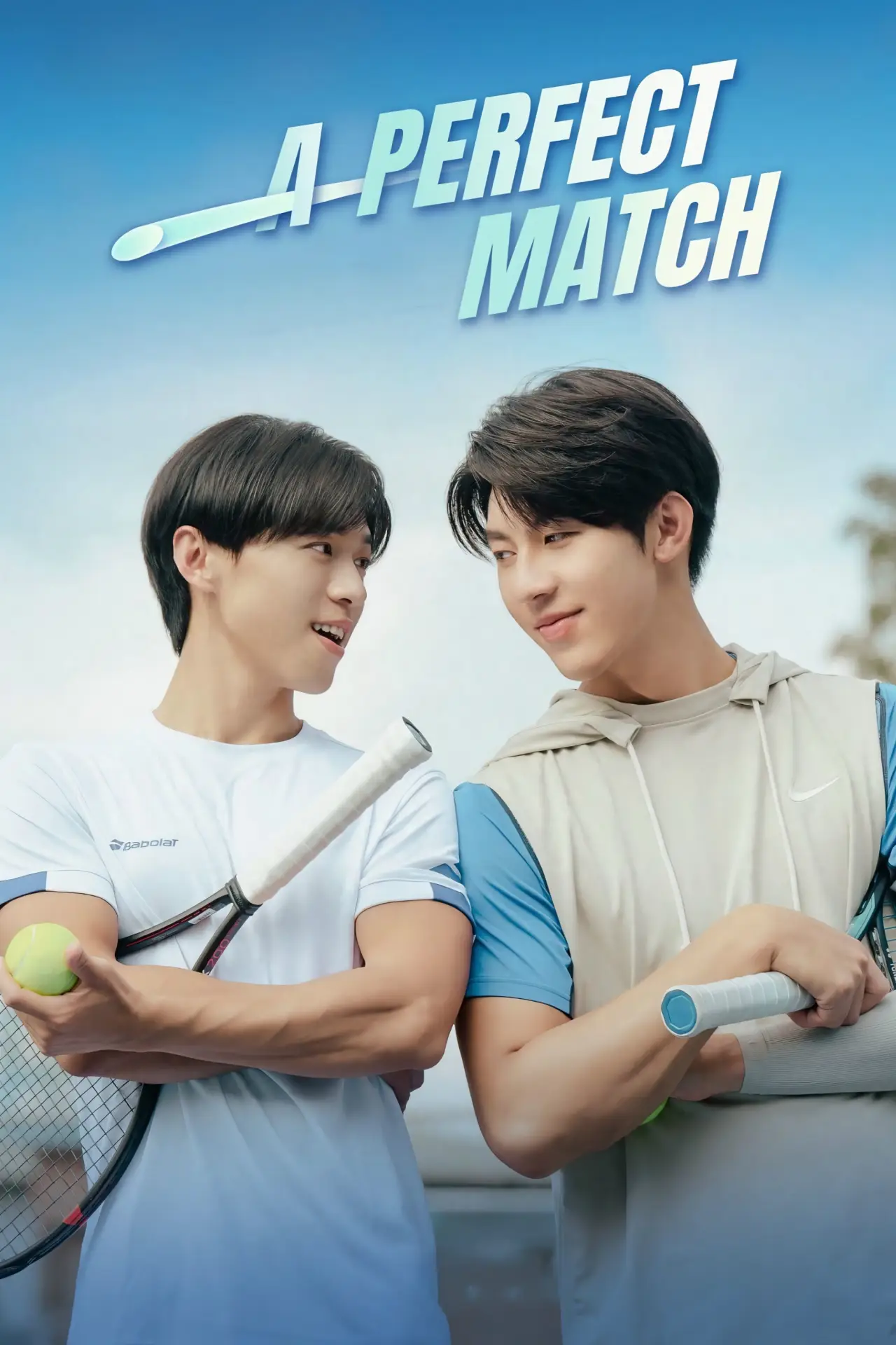 Series poster "A Perfect Match"
