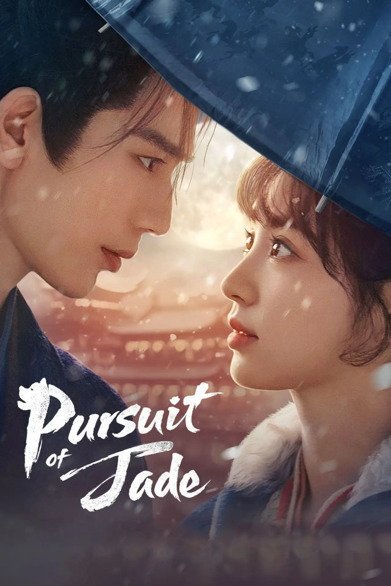 Series poster "Pursuit of Jade"