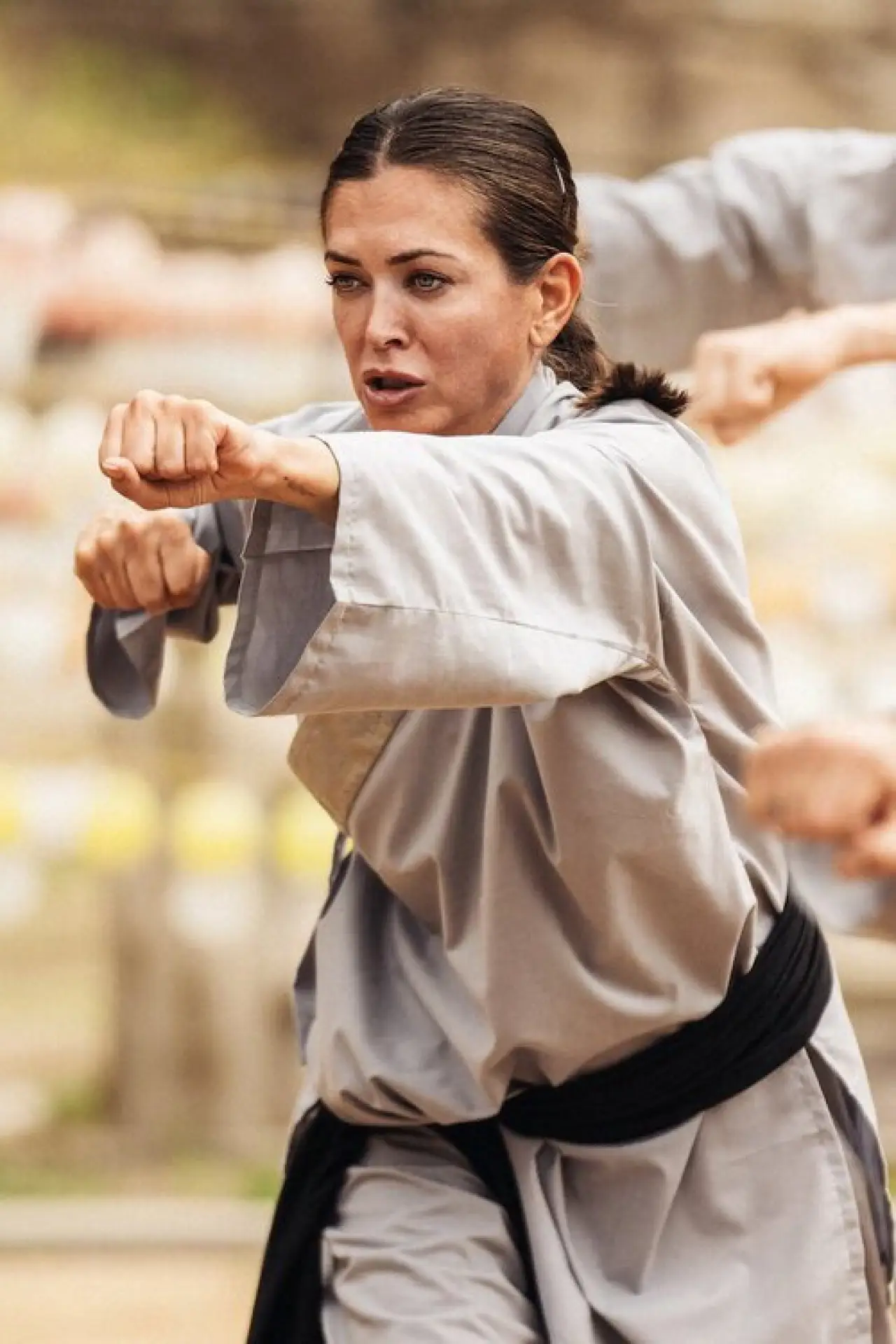 Series poster "Kung Fu Helden"