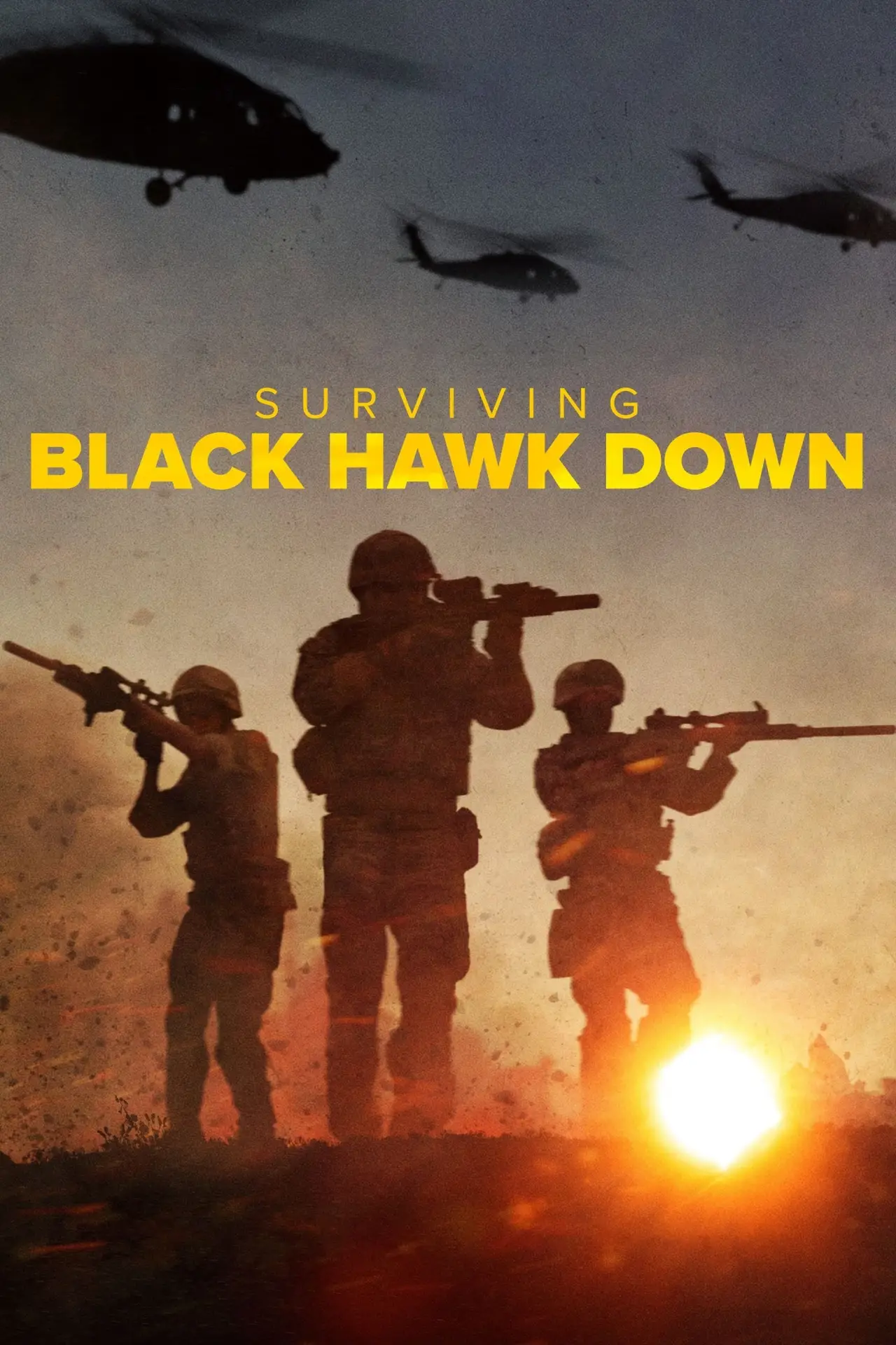 Постер к сериалу "Surviving Black Hawk Down"
