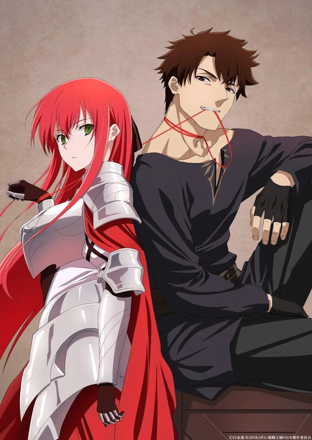Series poster "He Is a Kept Man for Princess Knight."