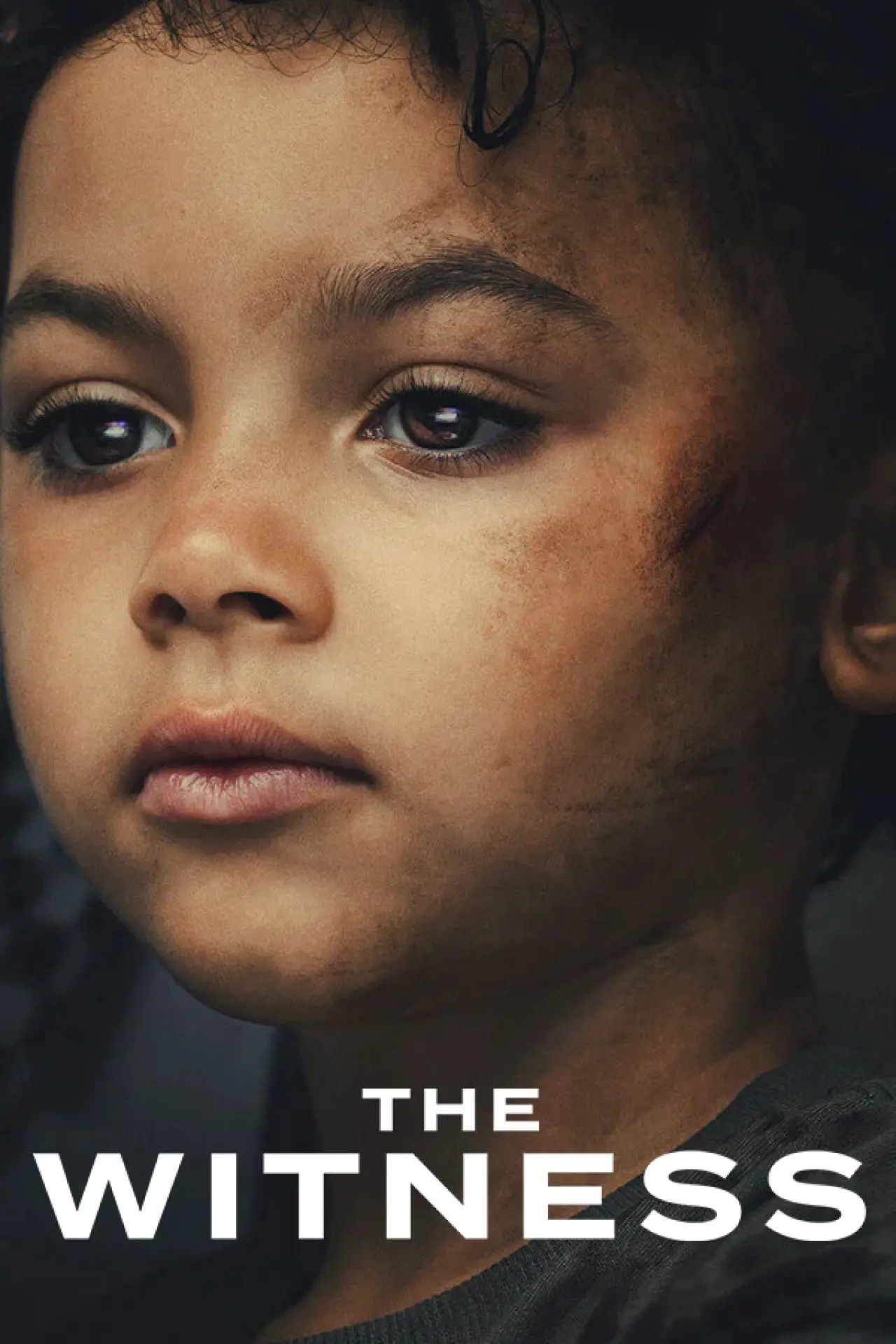 Series poster "The Witness"
