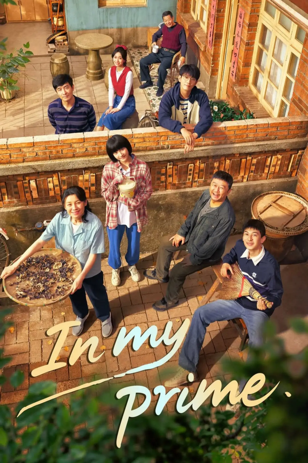 Series poster "In My Prime"