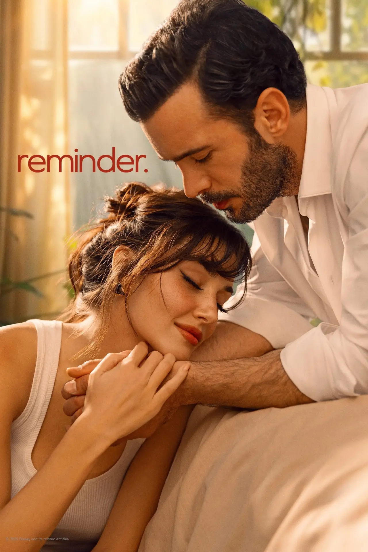 Series poster "Reminder"