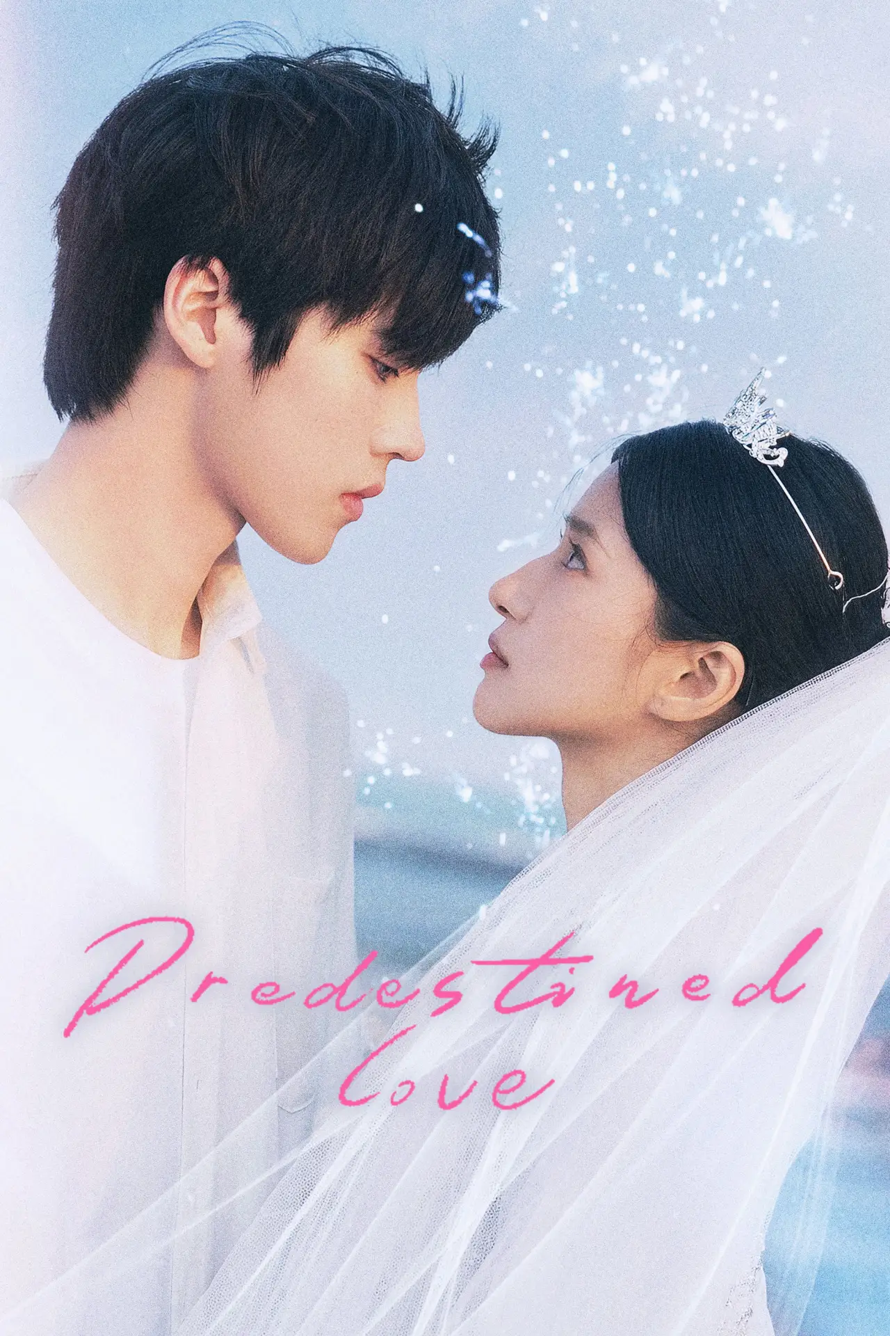 Series poster "Predestined Love"