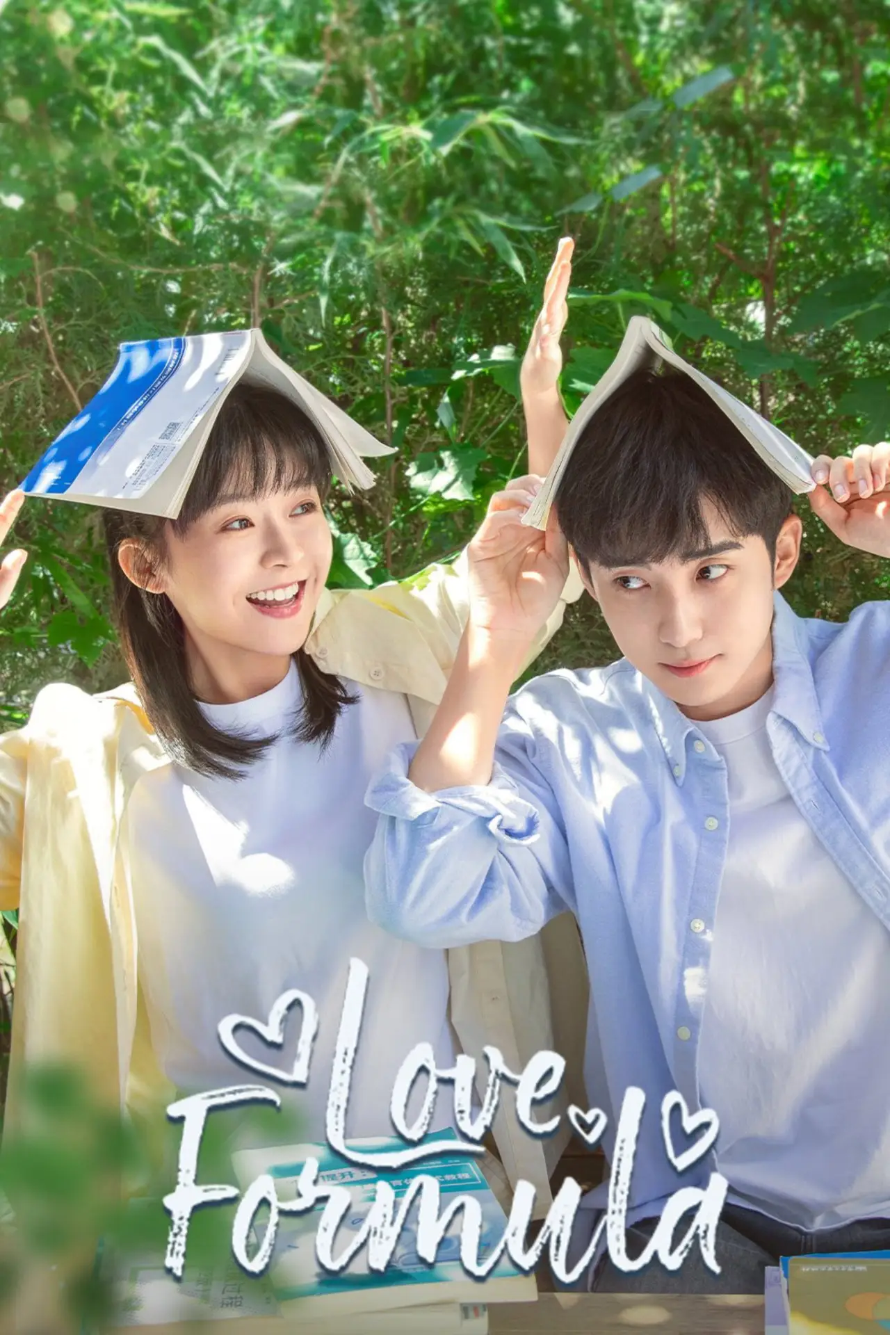 Series poster "Love Formula"