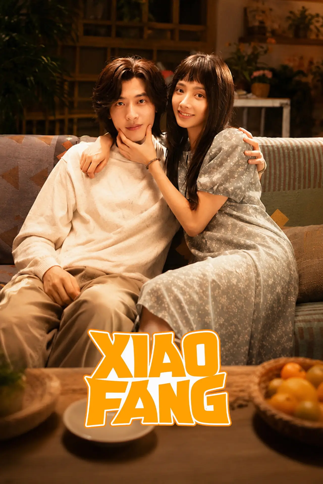 Series poster "Xiao Fang"