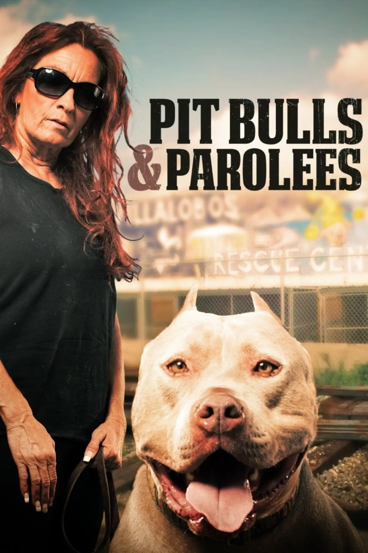 Series poster "Pit Bulls and Parolees"