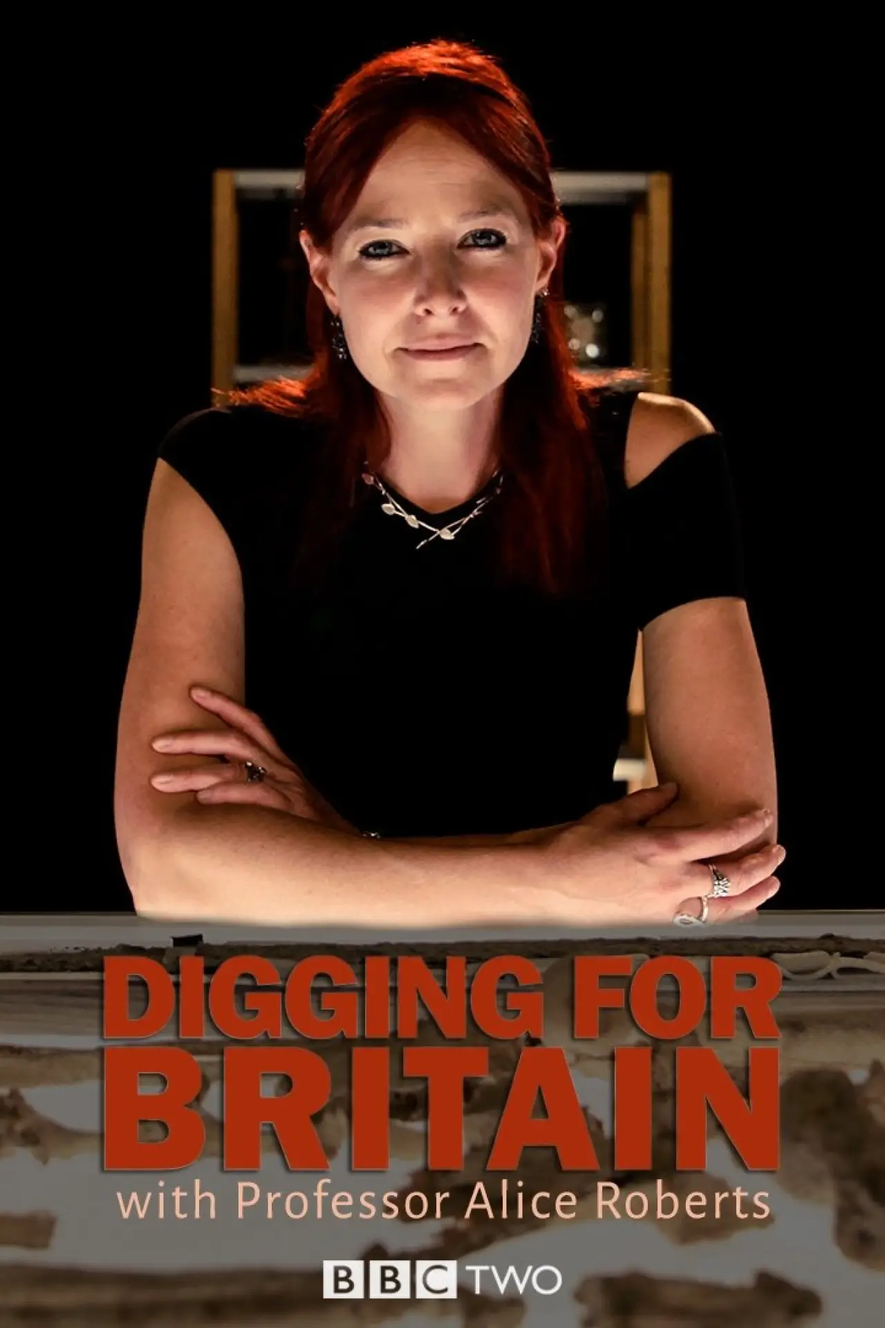 Series poster "Digging for Britain"