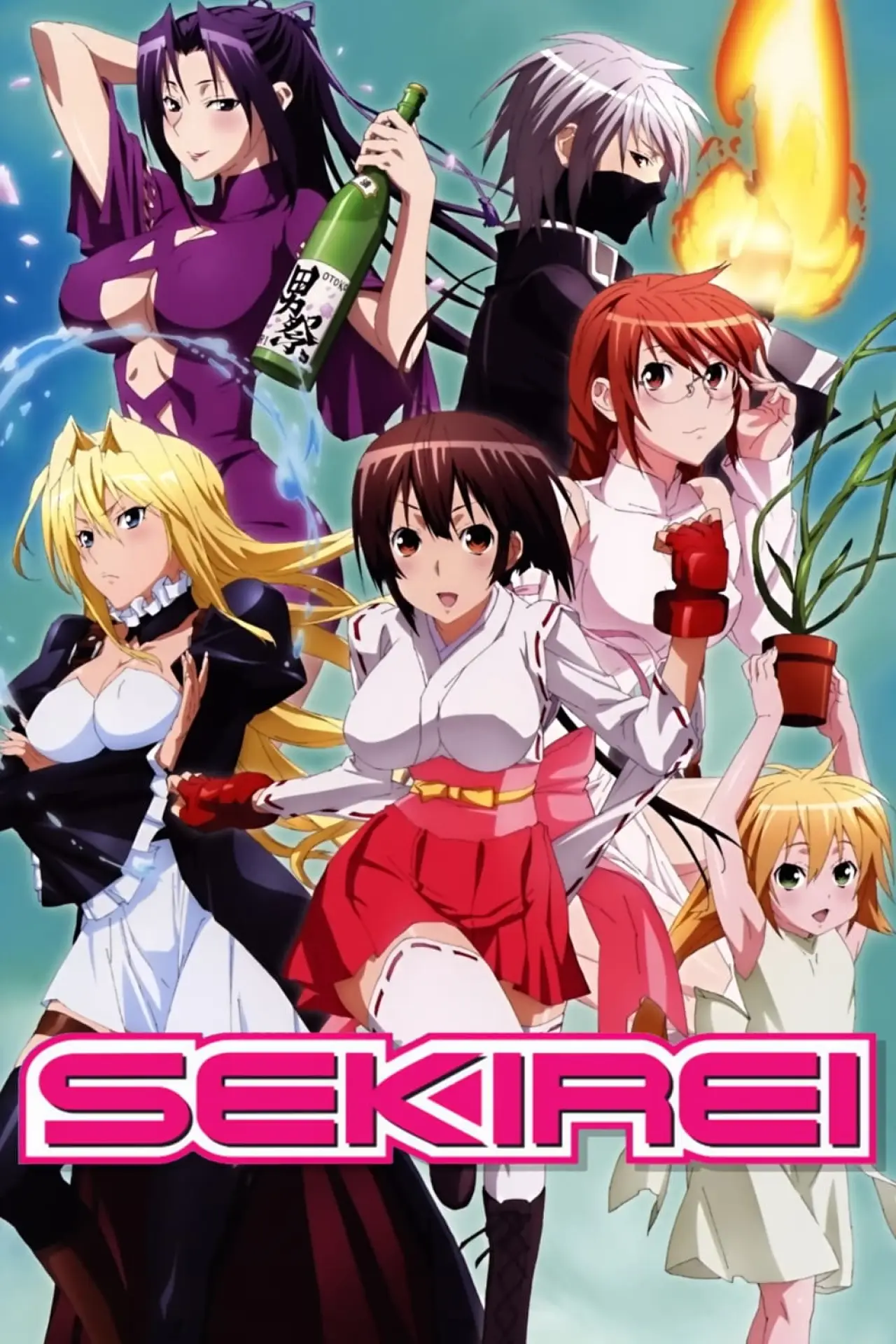 Series poster "Sekirei"