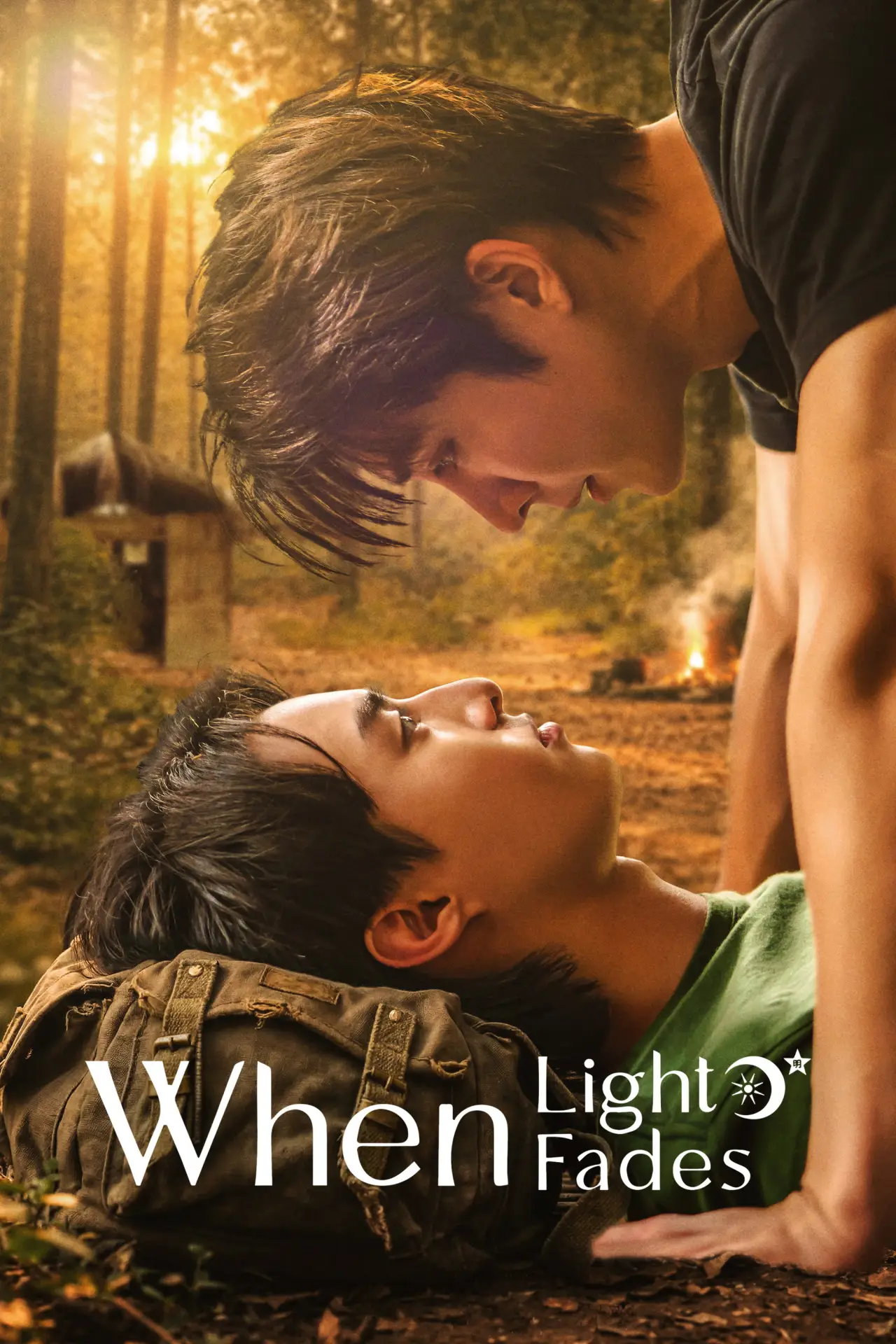 Series poster "When Light Fades"