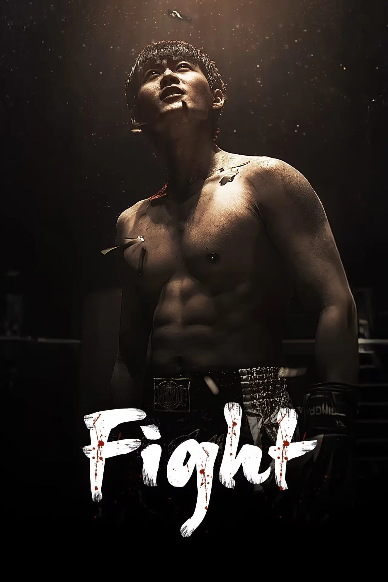 Series poster "Fight"