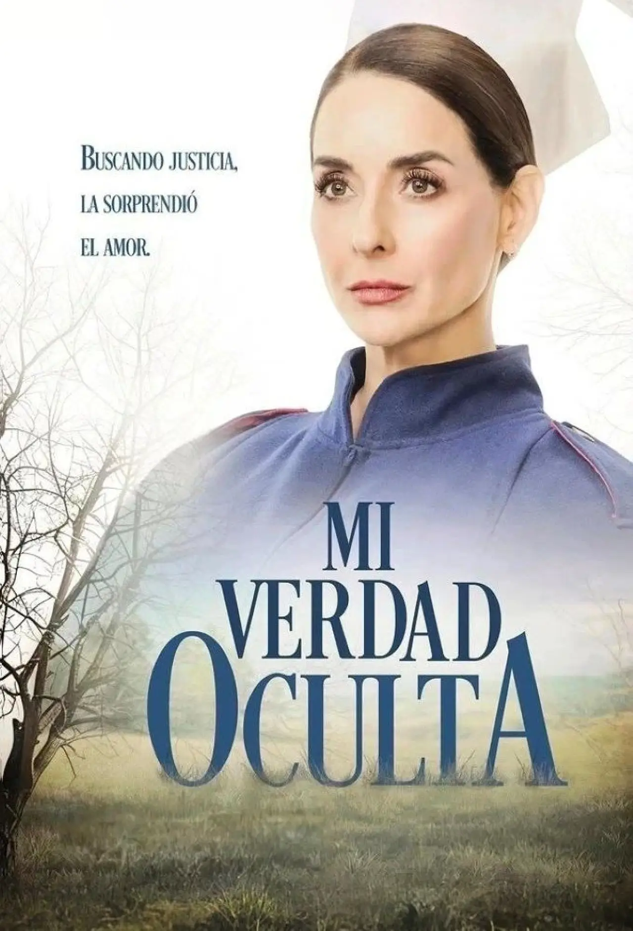 Series poster "My hidden truth"