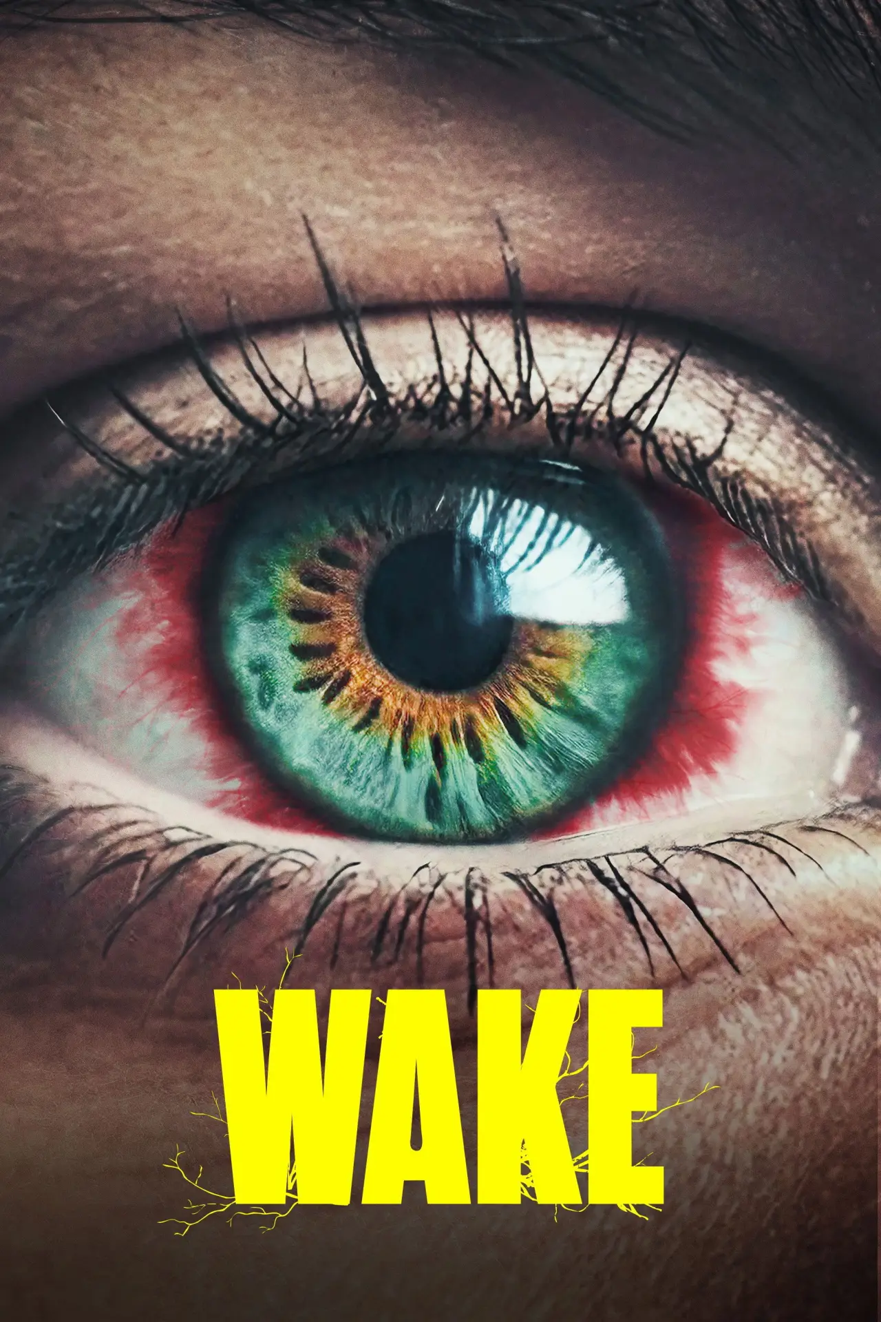 Series poster "Vaka"